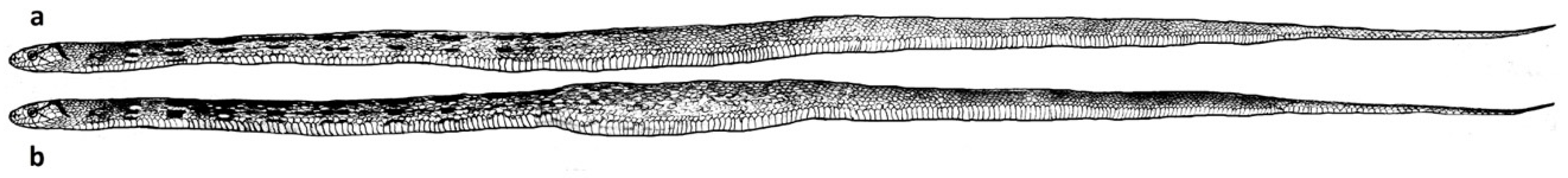 Behavsci 09 00067 g003