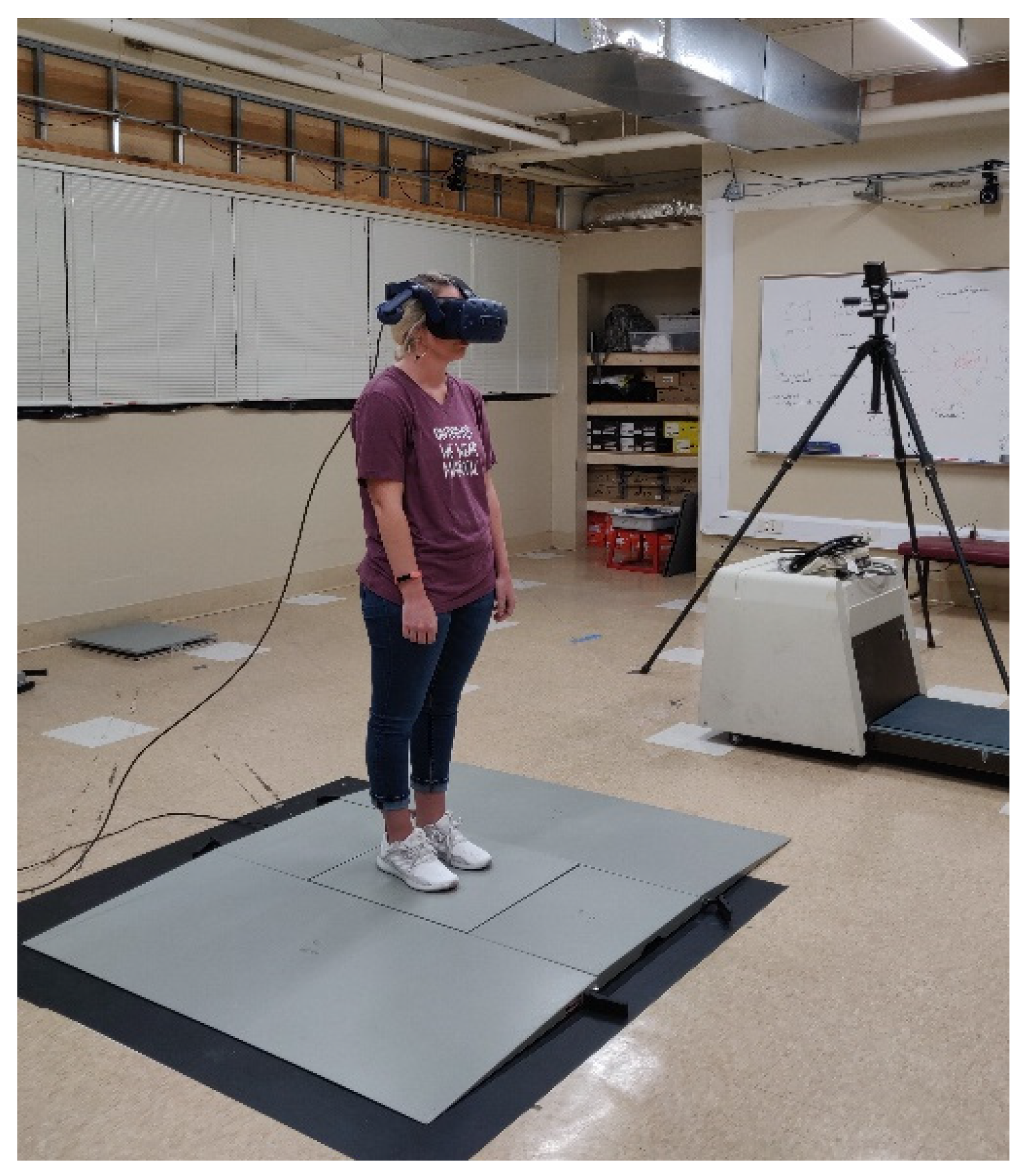 Behavsci 09 00113 g003 Behavsci 09 00113 g003