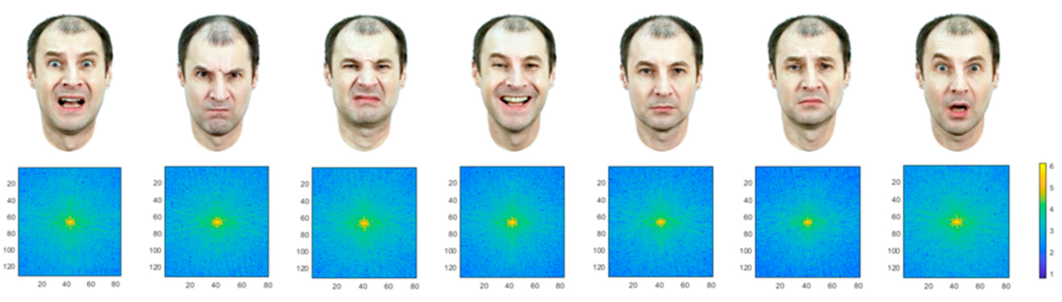 Behavsci 09 00131 g001 550