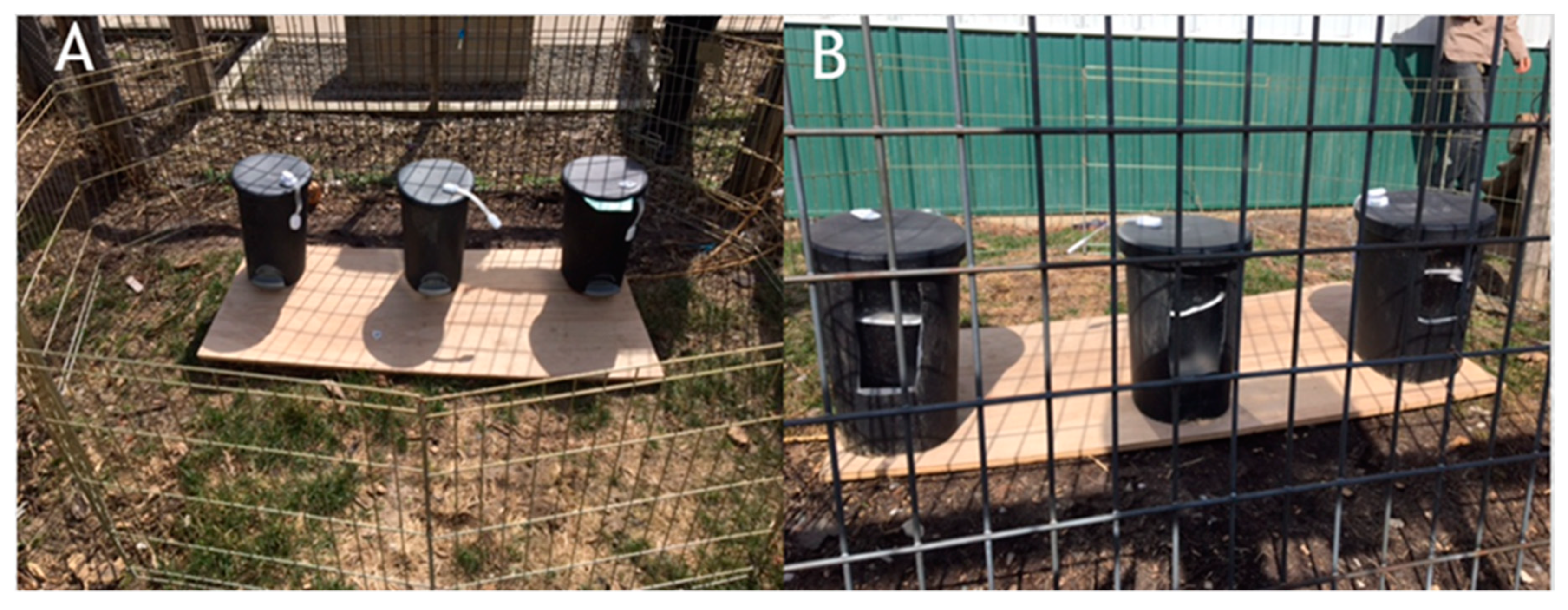 Behavsci 10 00081 g005