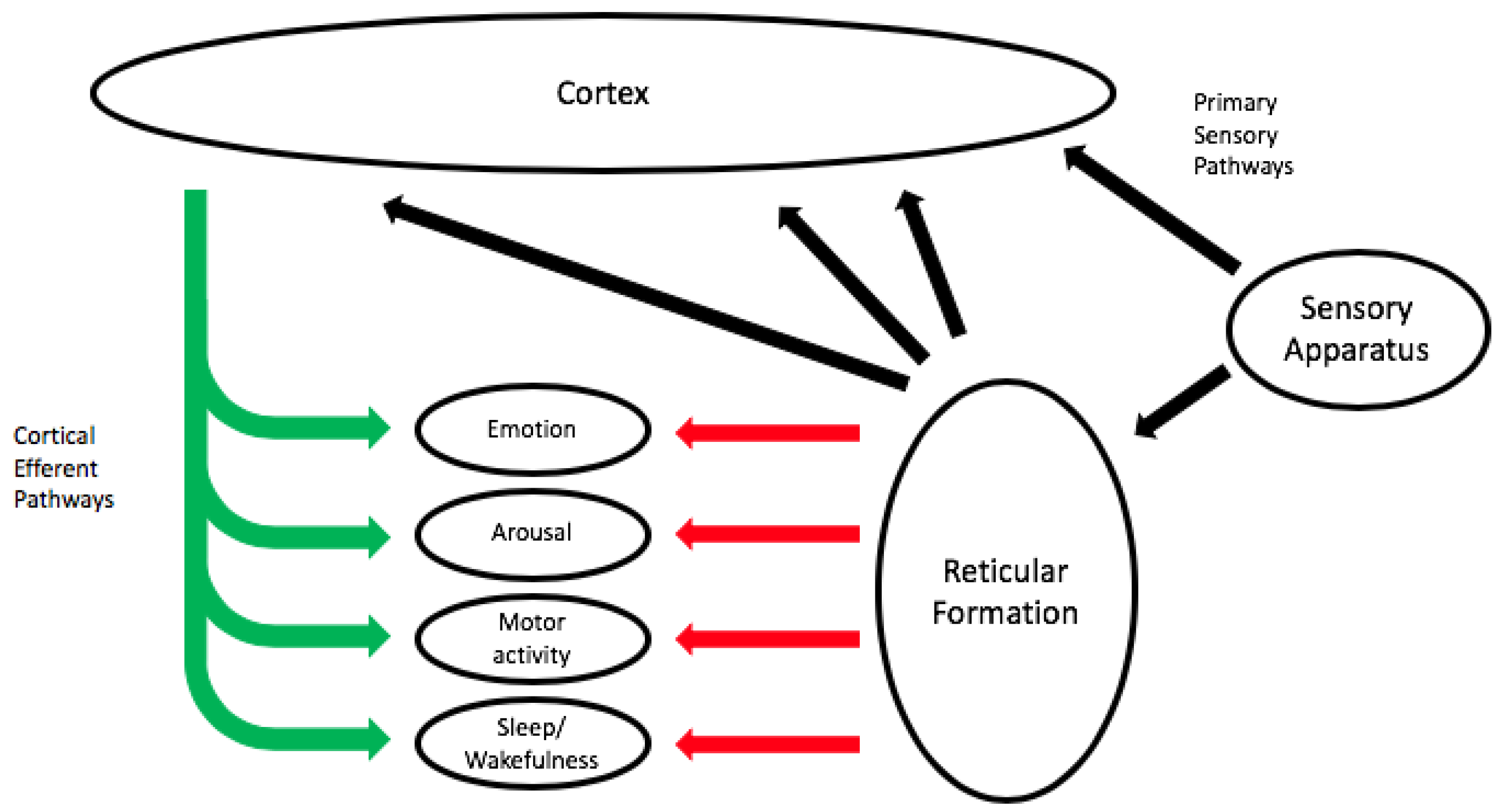 Behavsci 10 00119 g005 Behavsci 10 00119 g005