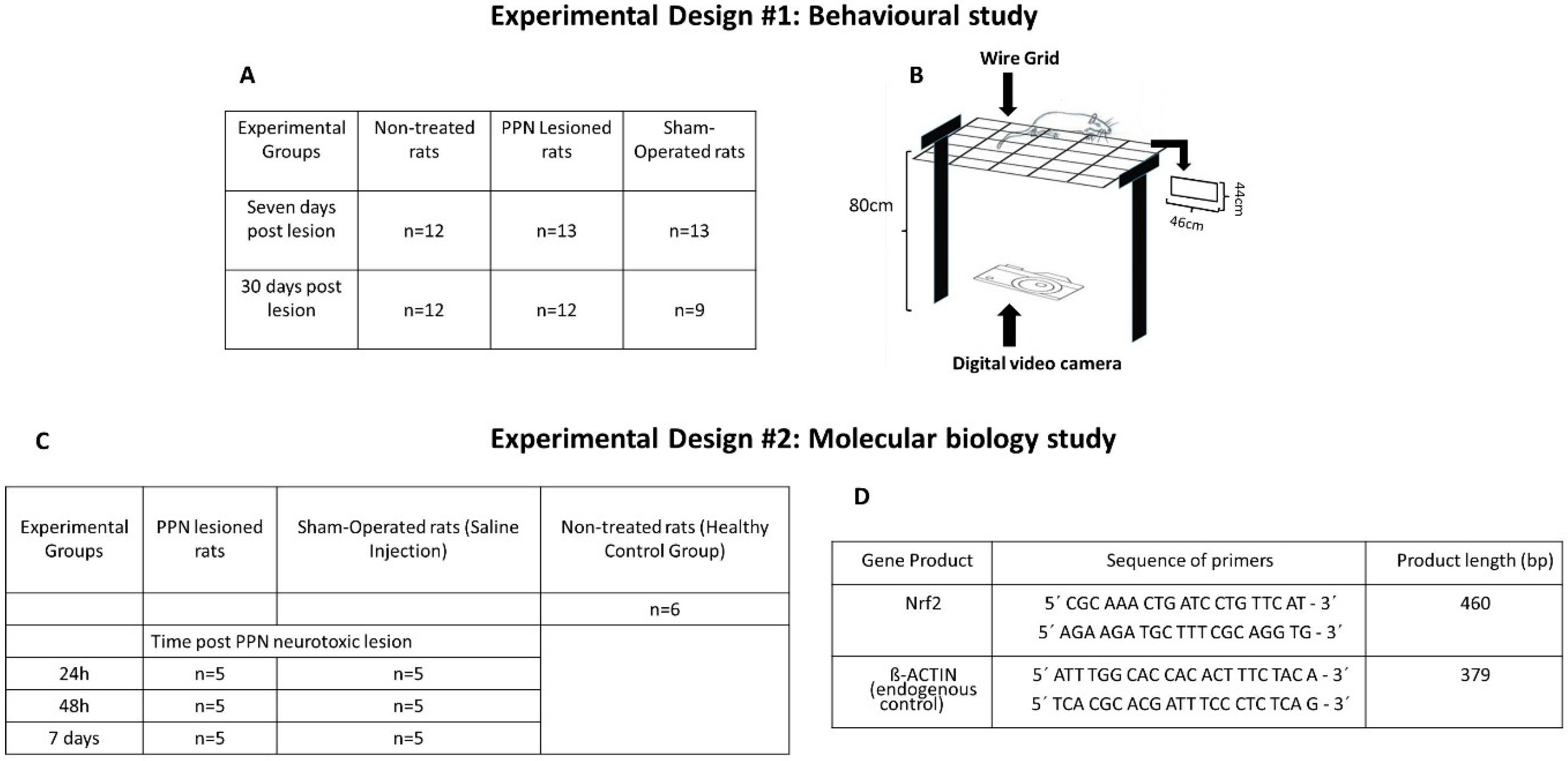 Behavsci 10 00156 g002 Behavsci 10 00156 g002