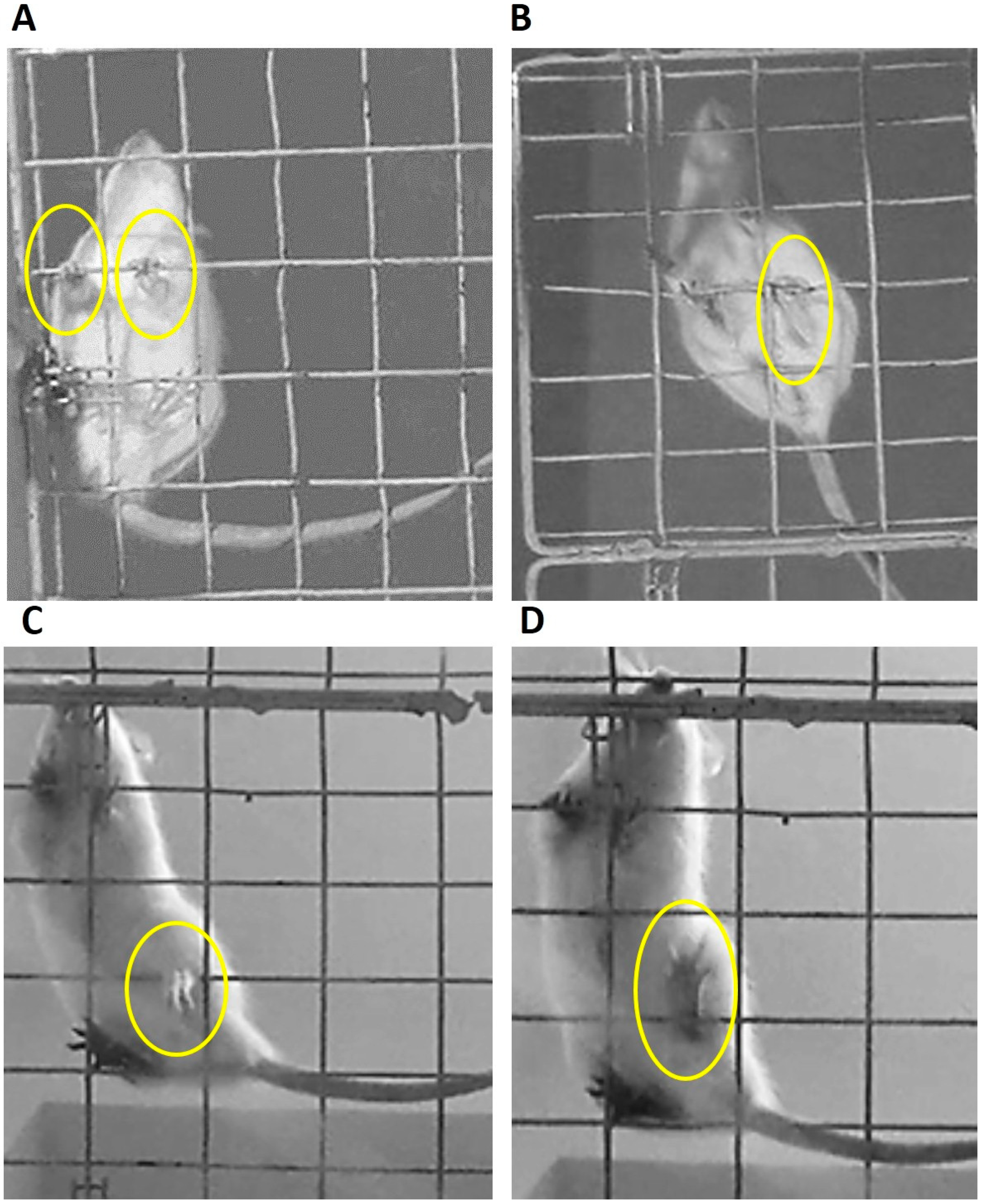 Behavsci 10 00156 g004 Behavsci 10 00156 g004