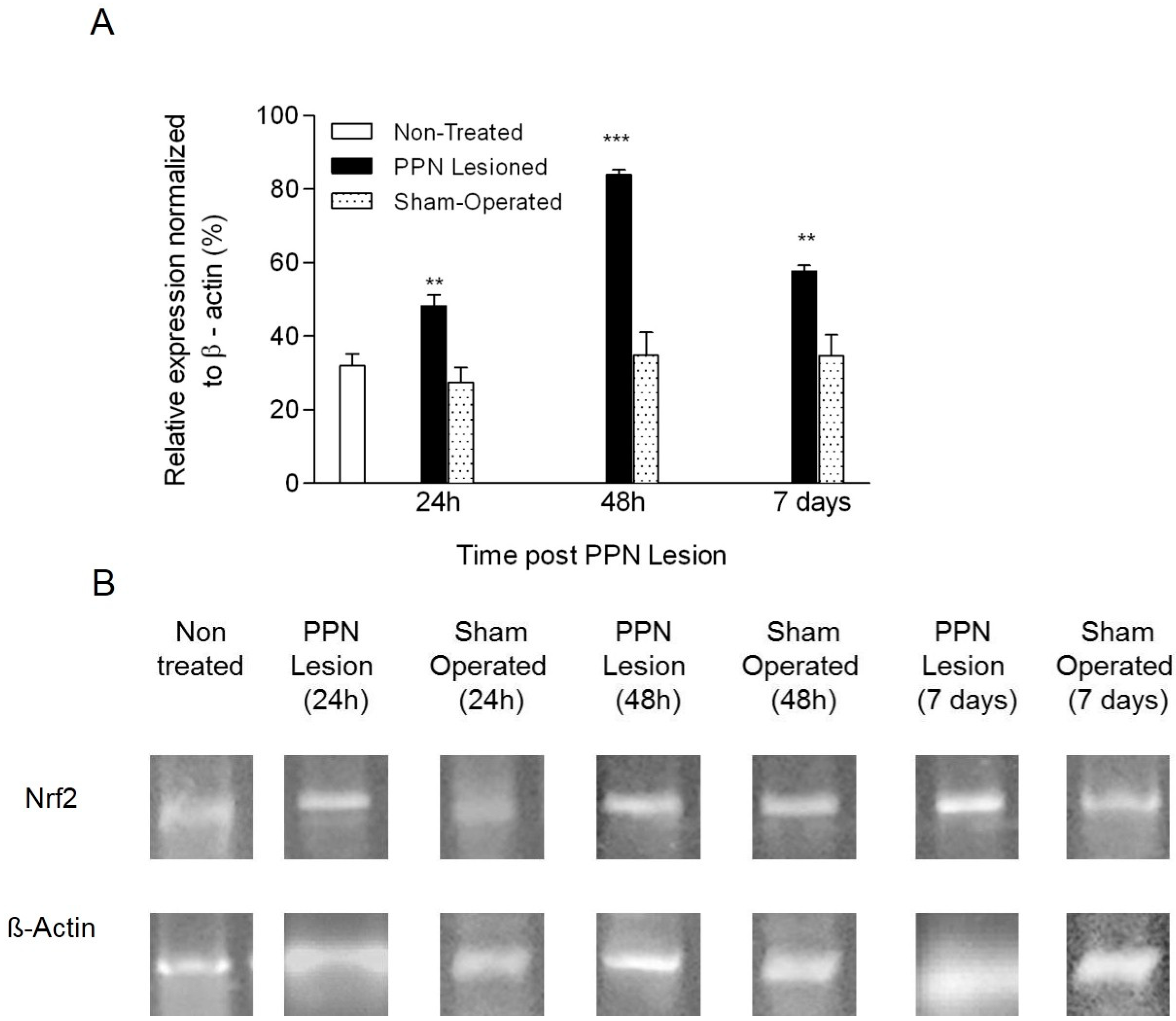 Behavsci 10 00156 g009 Behavsci 10 00156 g009