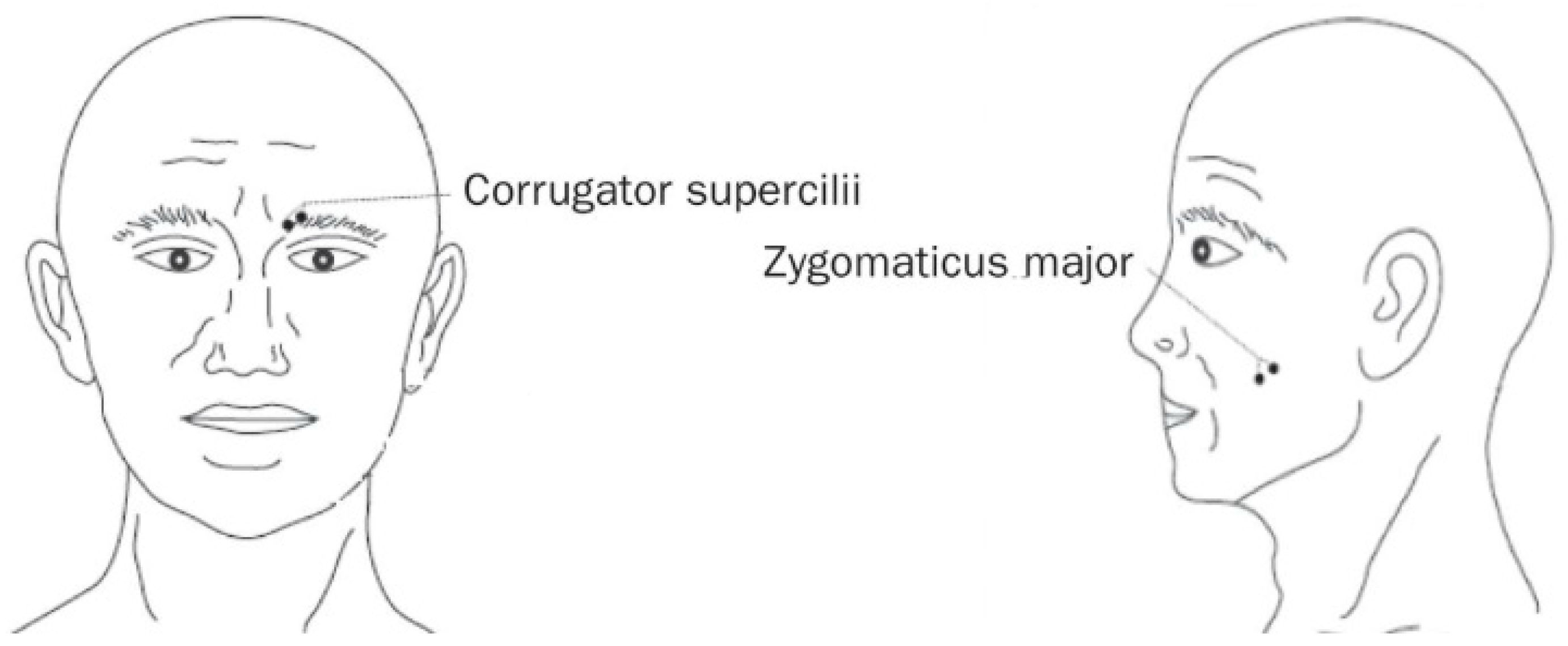 Behavsci 11 00016 g002