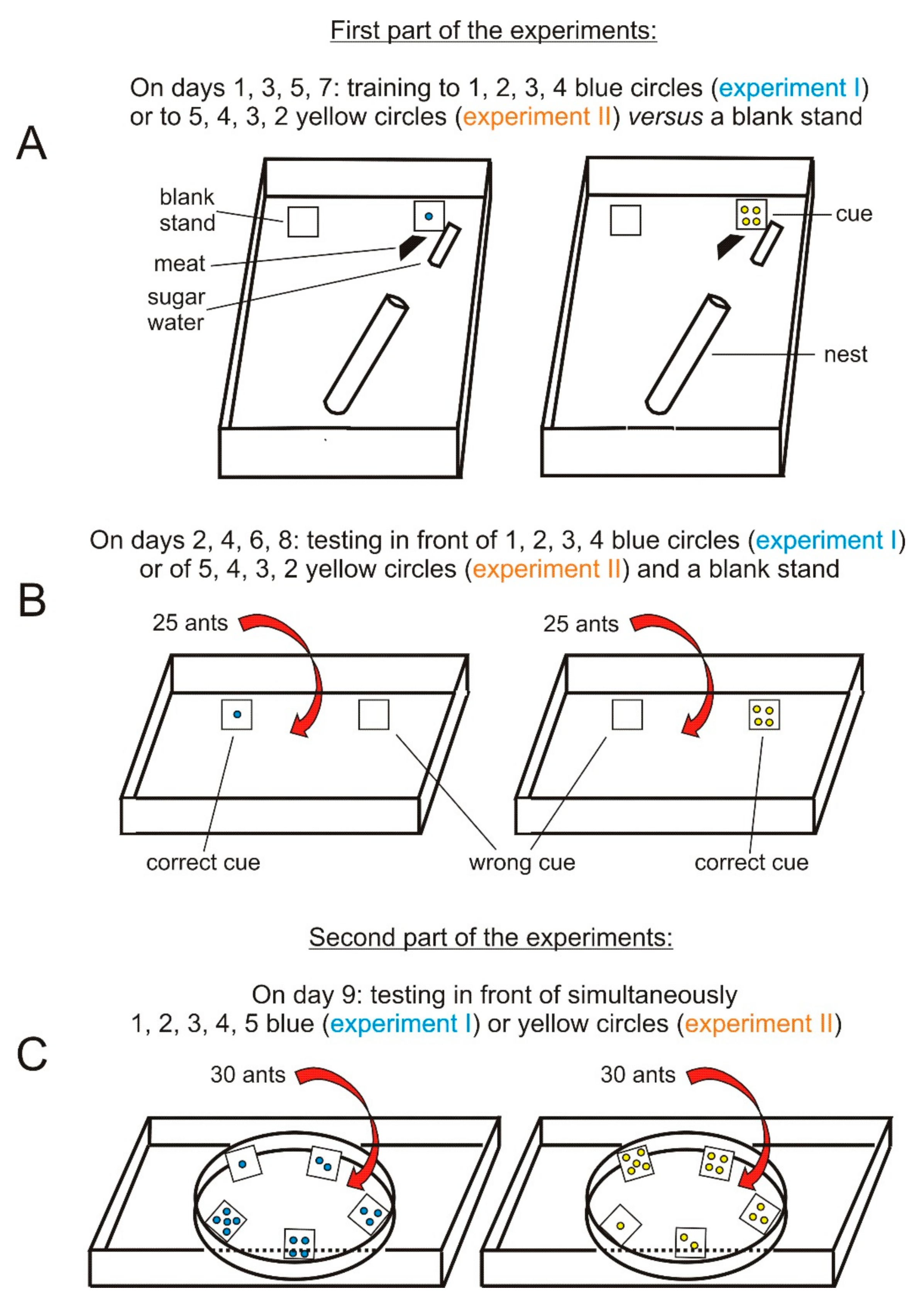 Behavsci 11 00018 g001 Behavsci 11 00018 g001