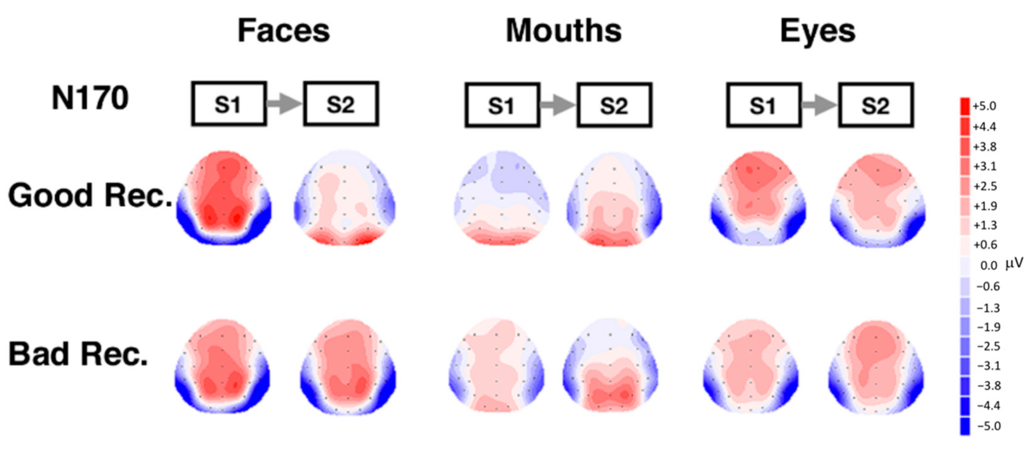 Behavsci 11 00075 g005 Behavsci 11 00075 g005