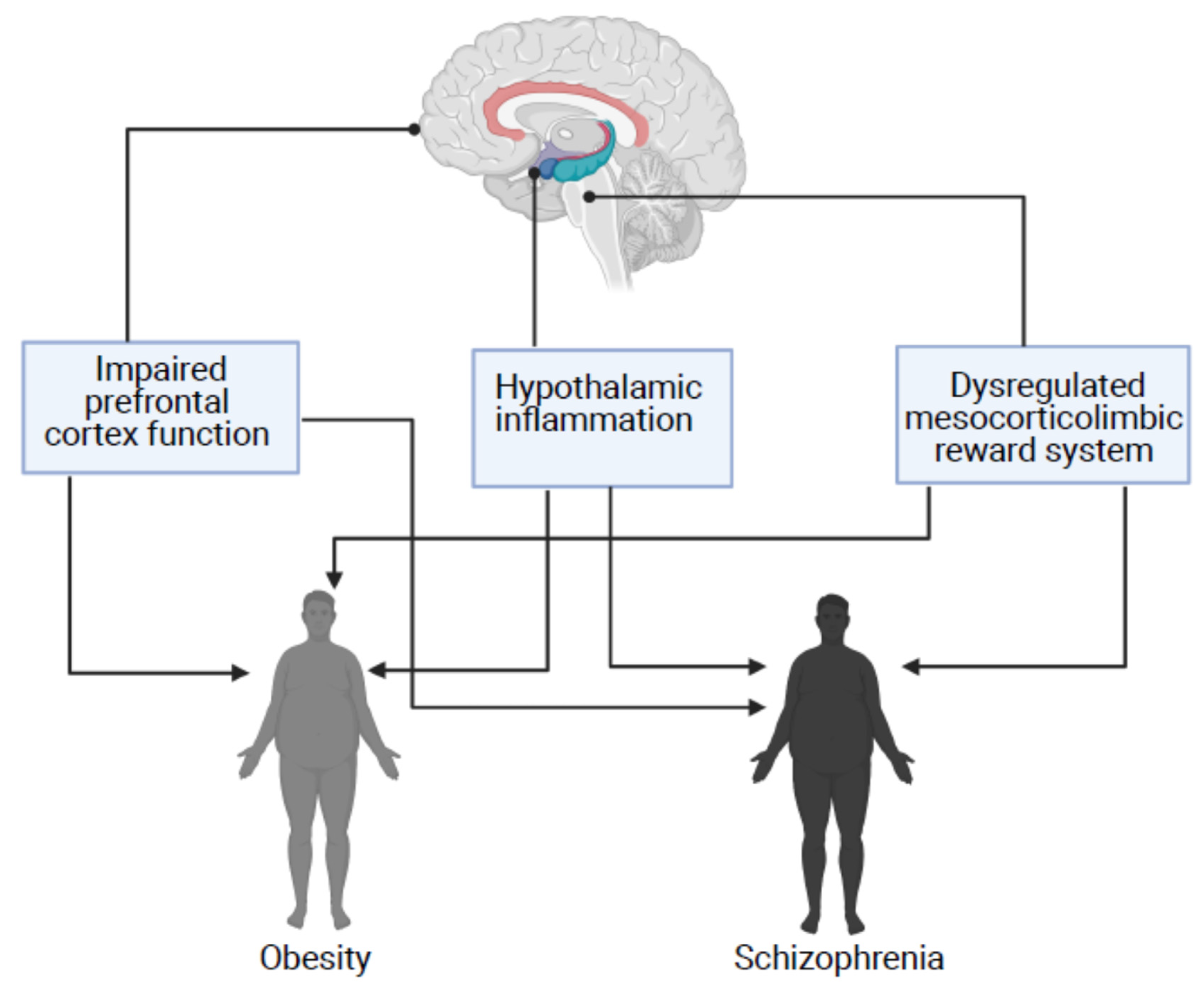 Behavsci 11 00086 g001 Behavsci 11 00086 g001