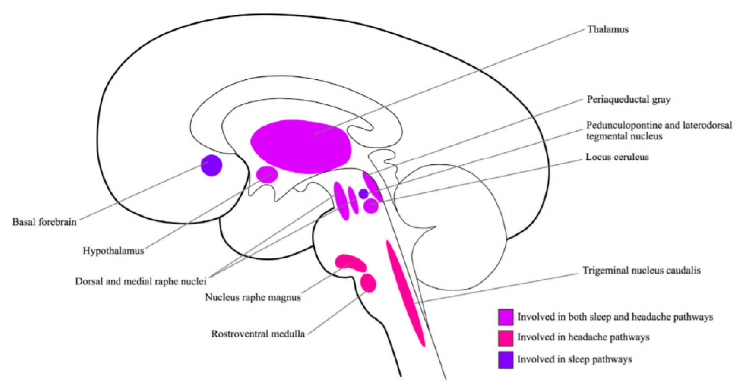 Behavsci 11 00122 g001