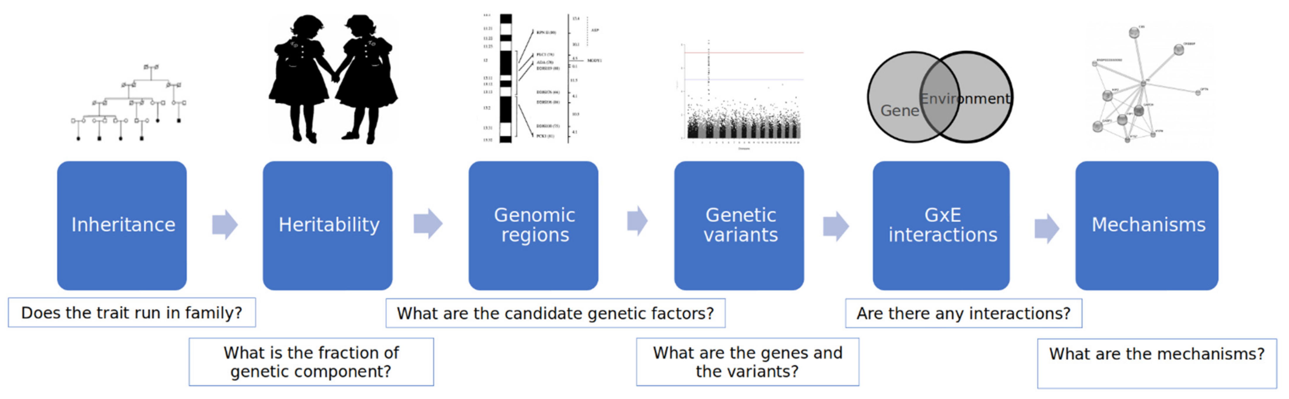 Behavsci 11 00152 g001