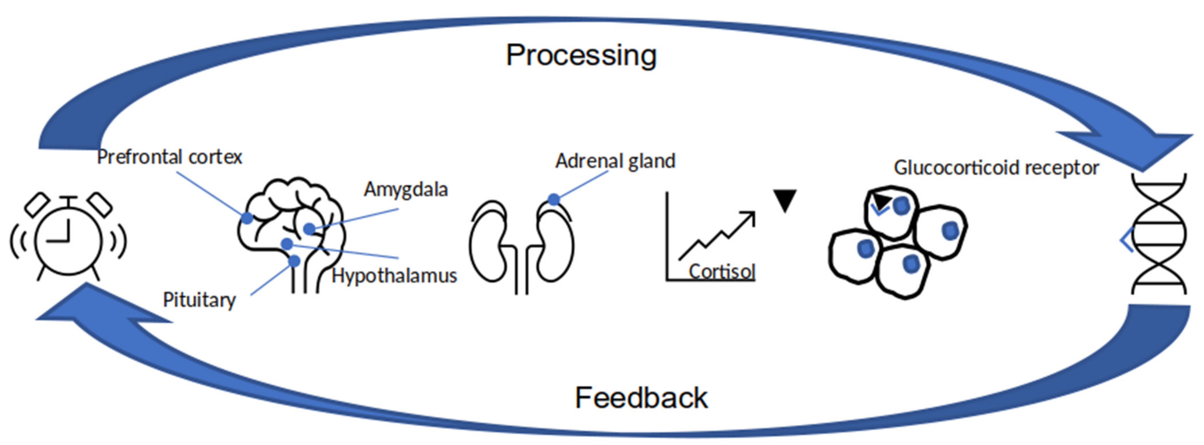Behavsci 11 00152 g002