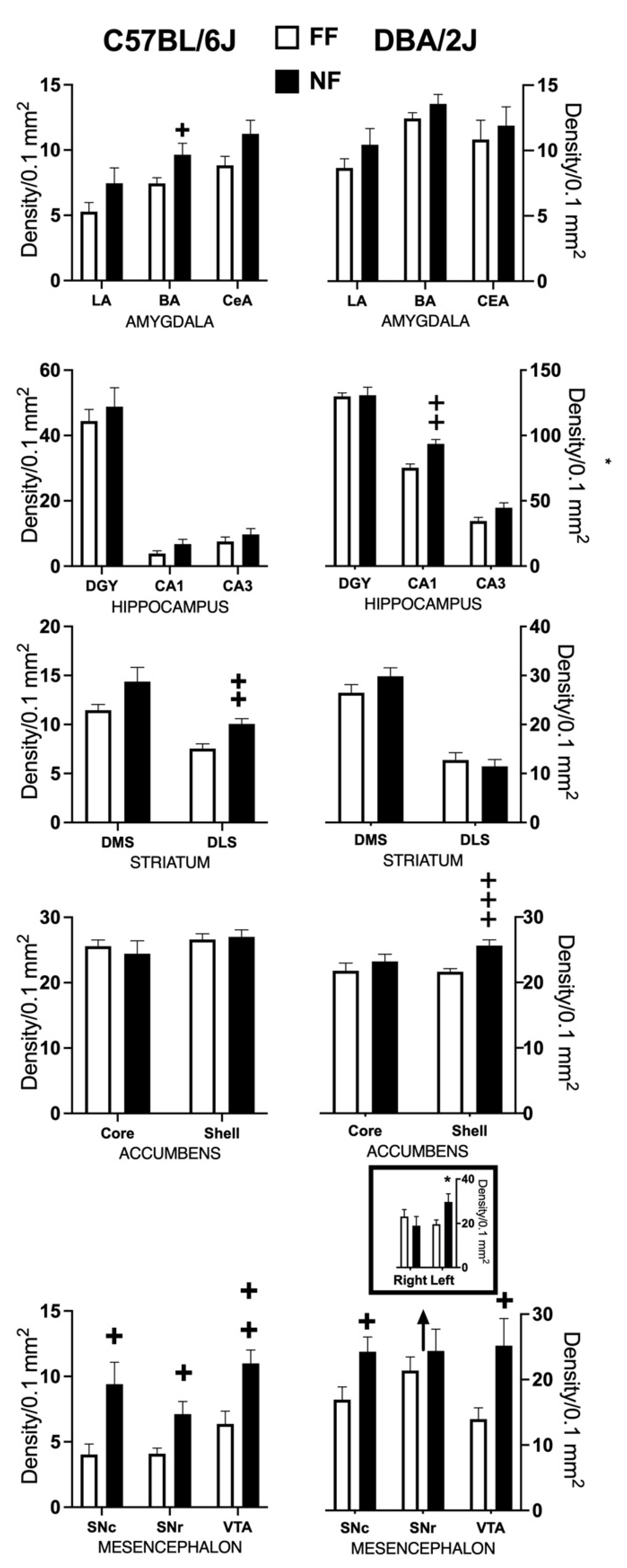 Behavsci 11 00174 g005