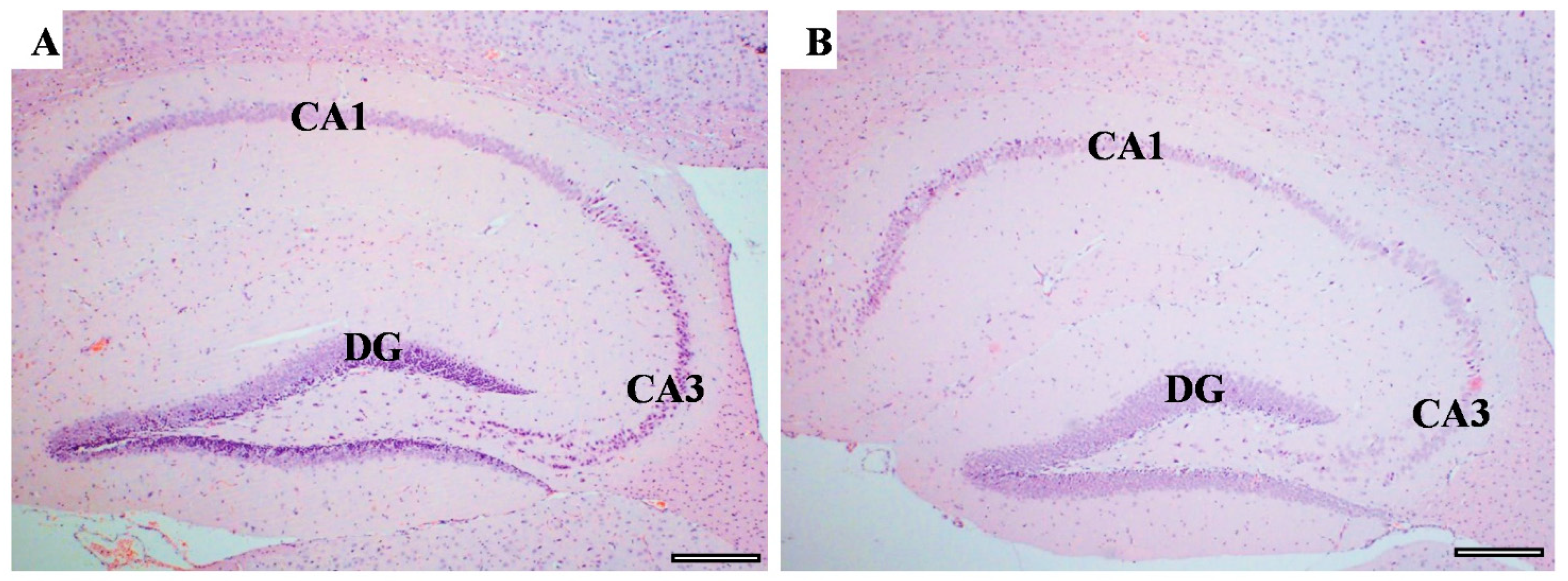 Behavsci 12 00166 g009
