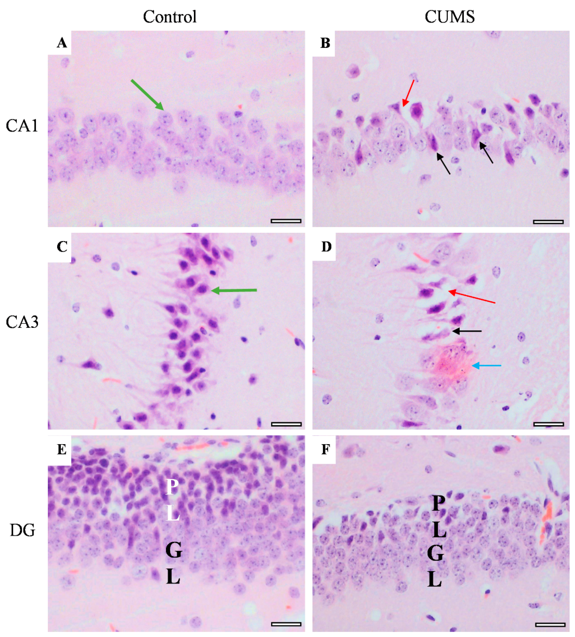 Behavsci 12 00166 g010