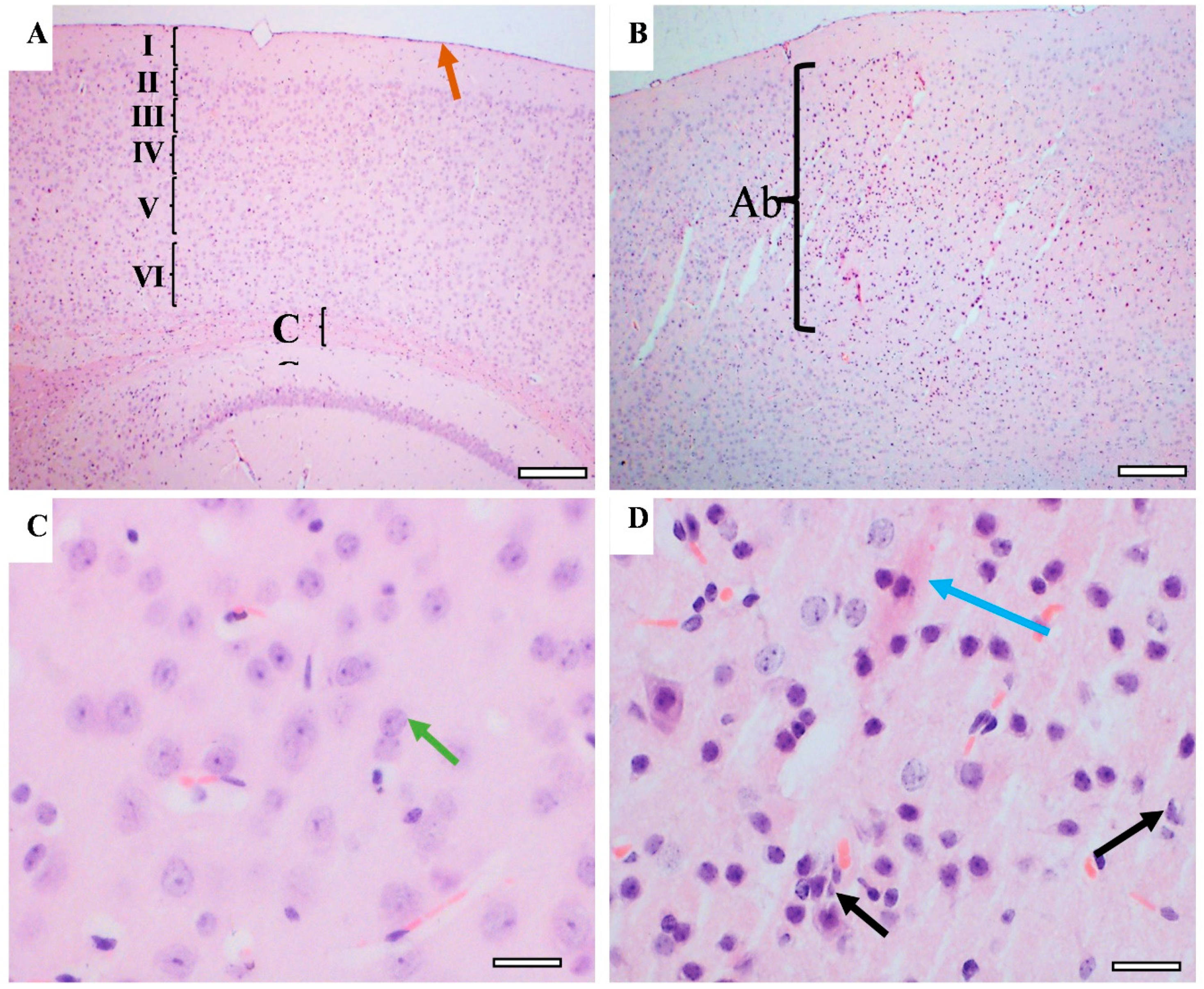 Behavsci 12 00166 g011
