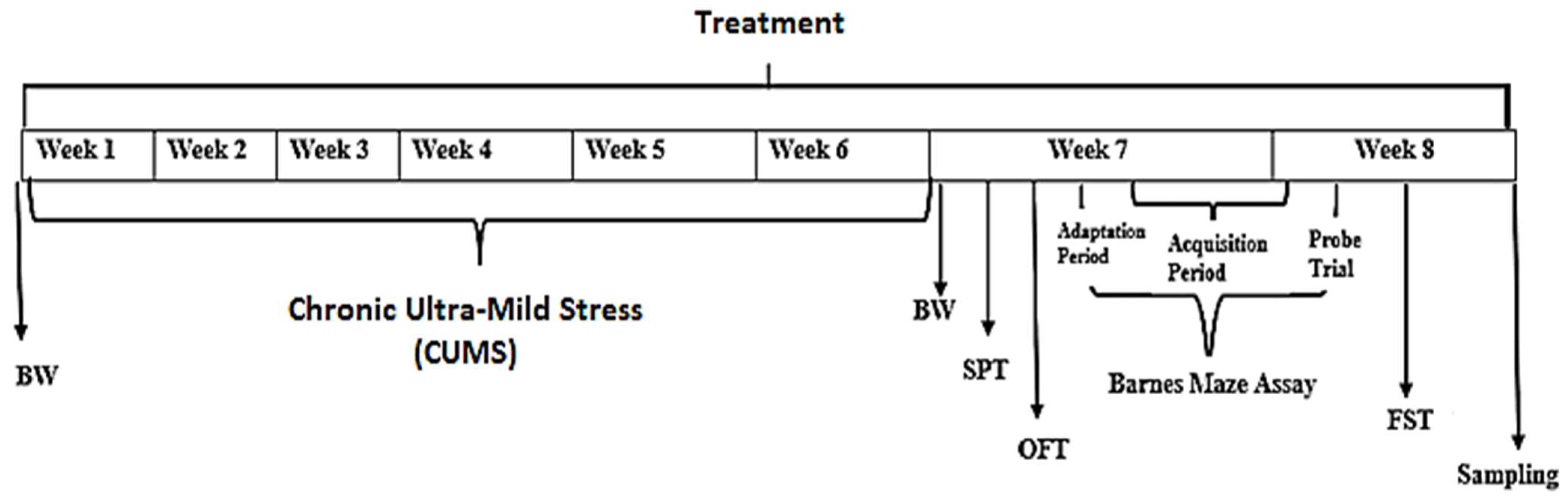 Behavioral Sciences Free Full-Text Antidepressant-like Effects of Polygonum minus Aqueous Extract in Chronic Ultra-Mild Stress-Induced Depressive Mice Model pic