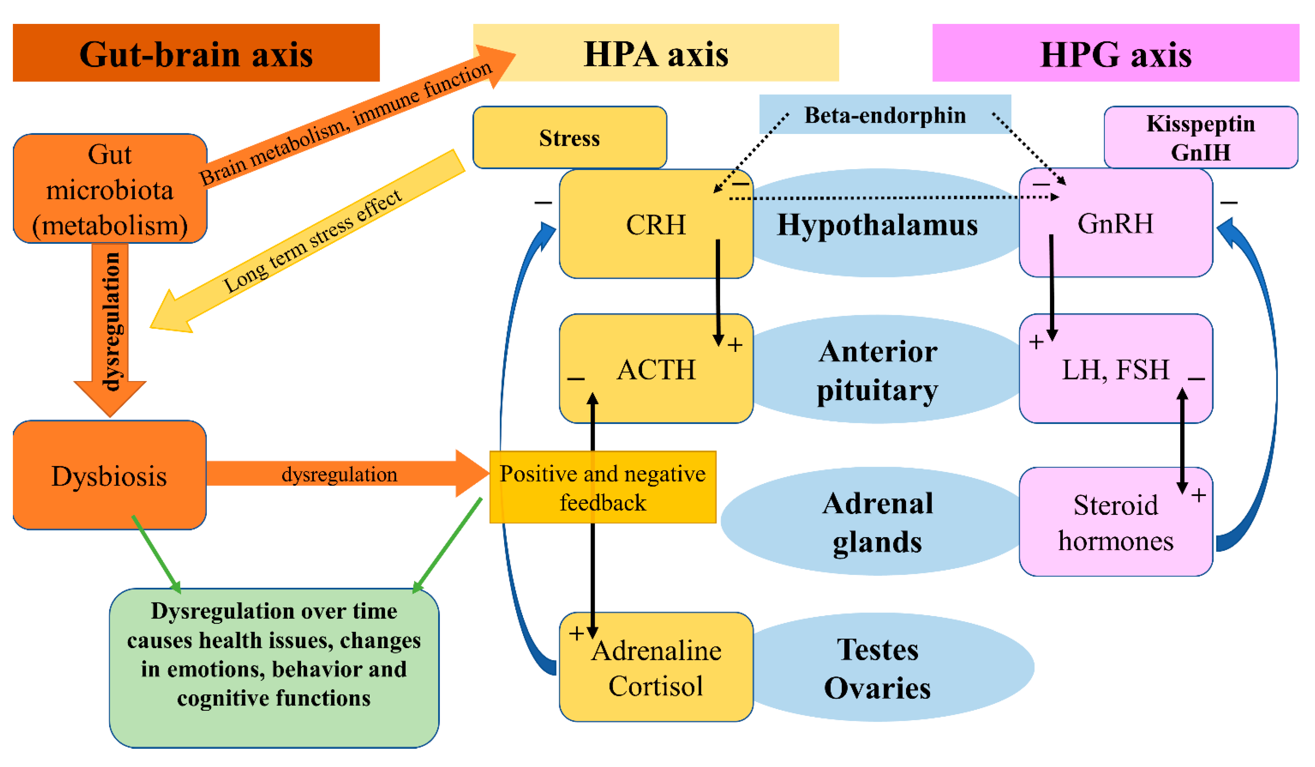 Behavsci 12 00262 g002 Behavsci 12 00262 g002