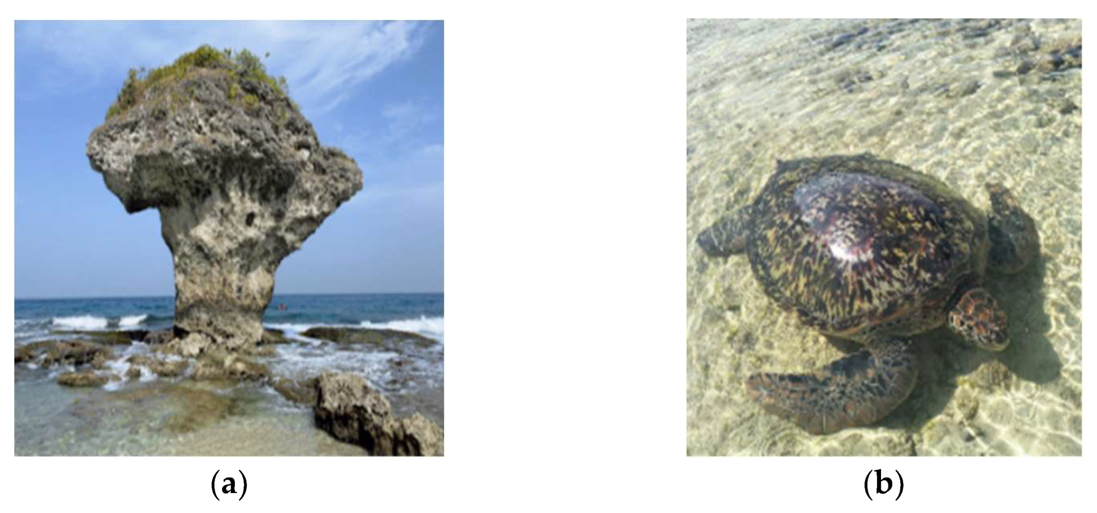 Behavsci 12 00307 g002 550