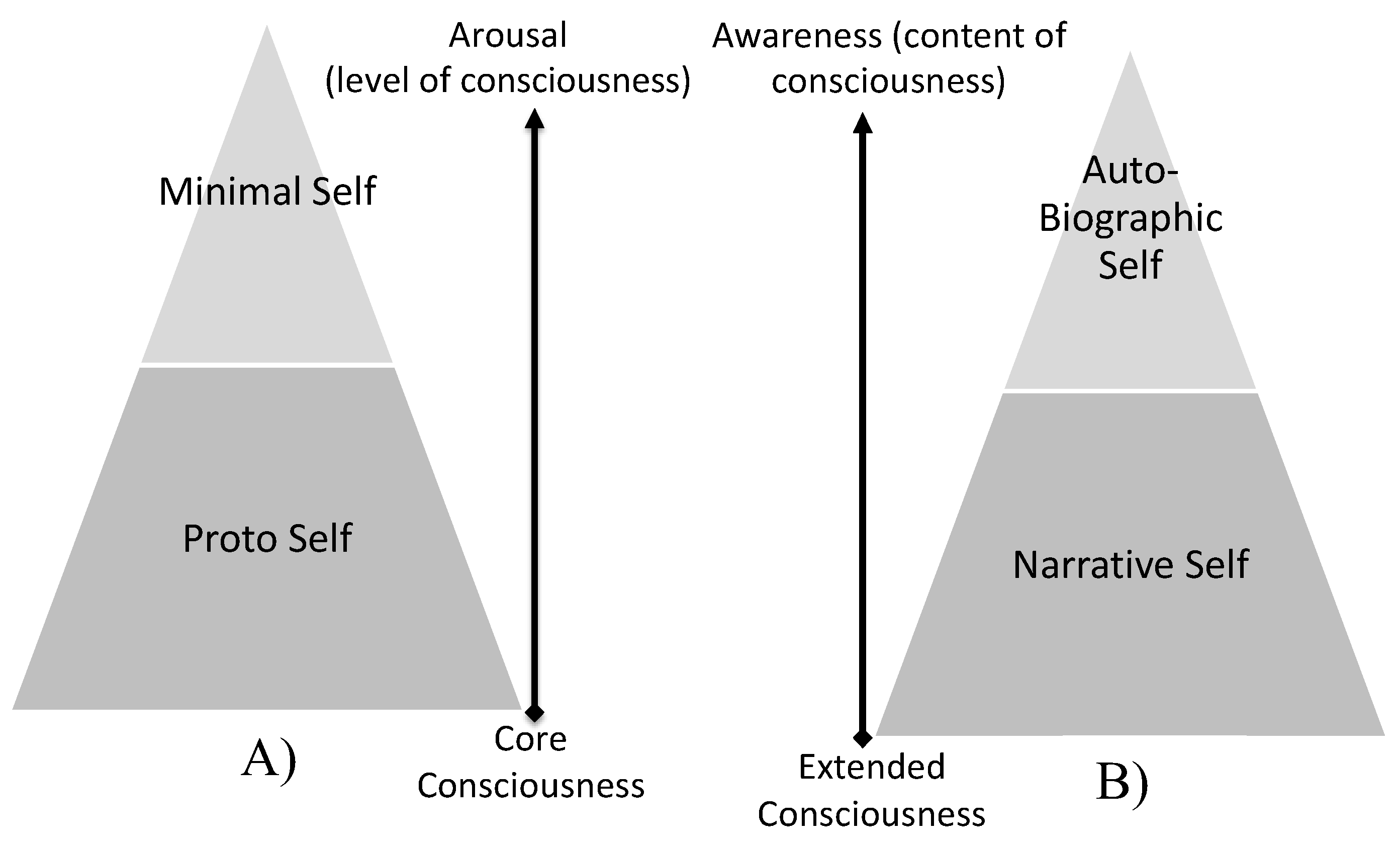Behavsci 12 00381 g005