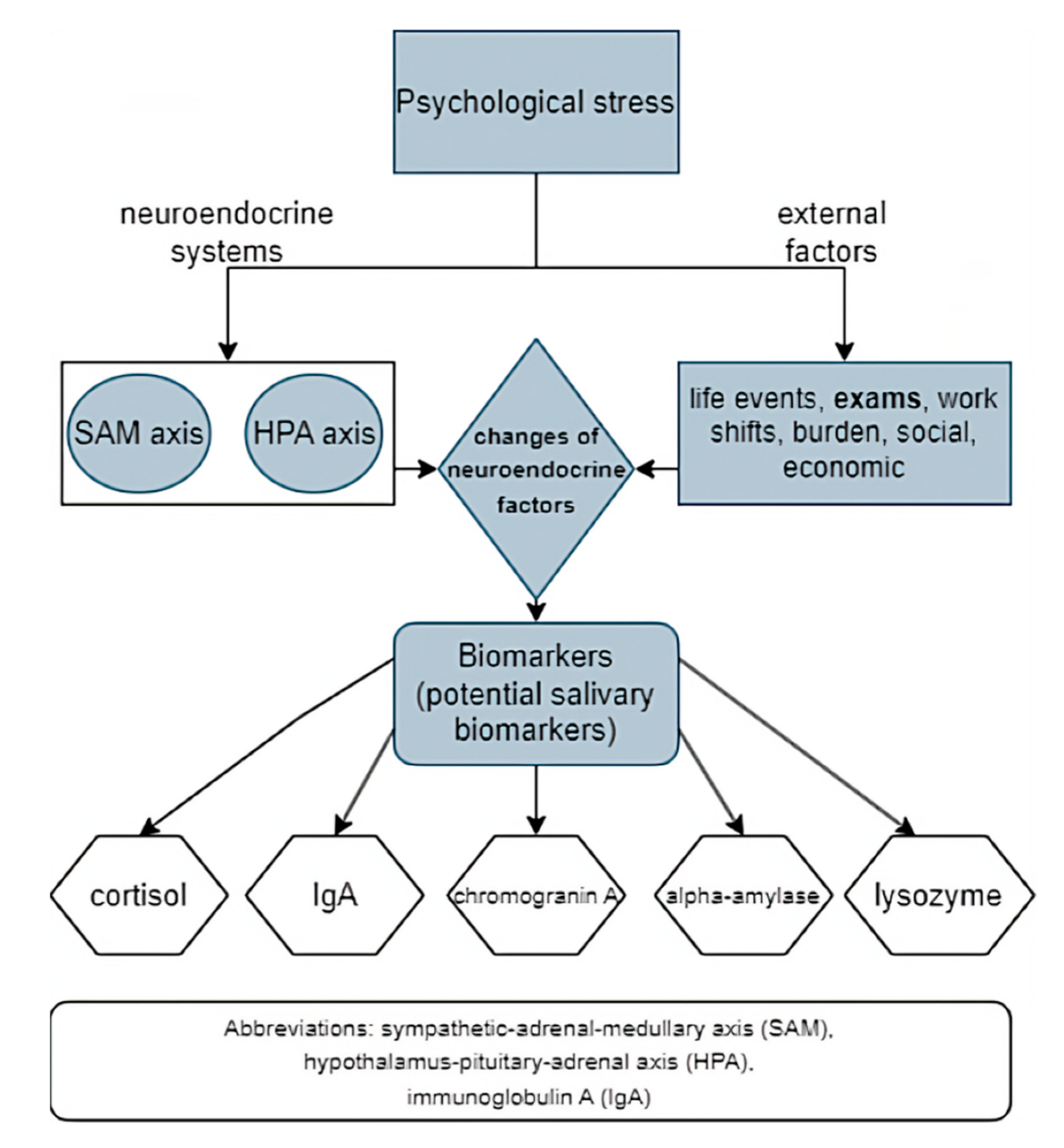 Behavsci 12 00400 g002