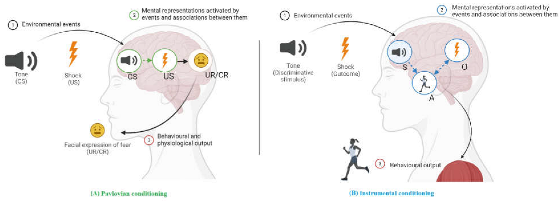 Behavsci 13 00096 g002 Behavsci 13 00096 g002