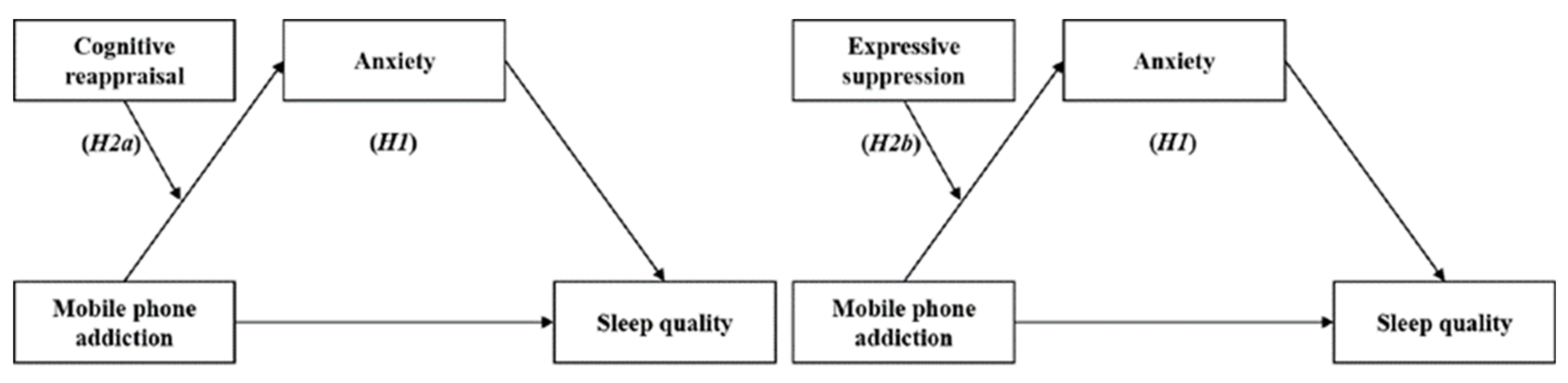 Behavsci 13 00250 g001