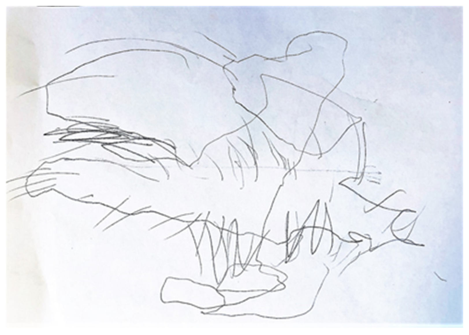 Behavsci 13 00354 g001 550