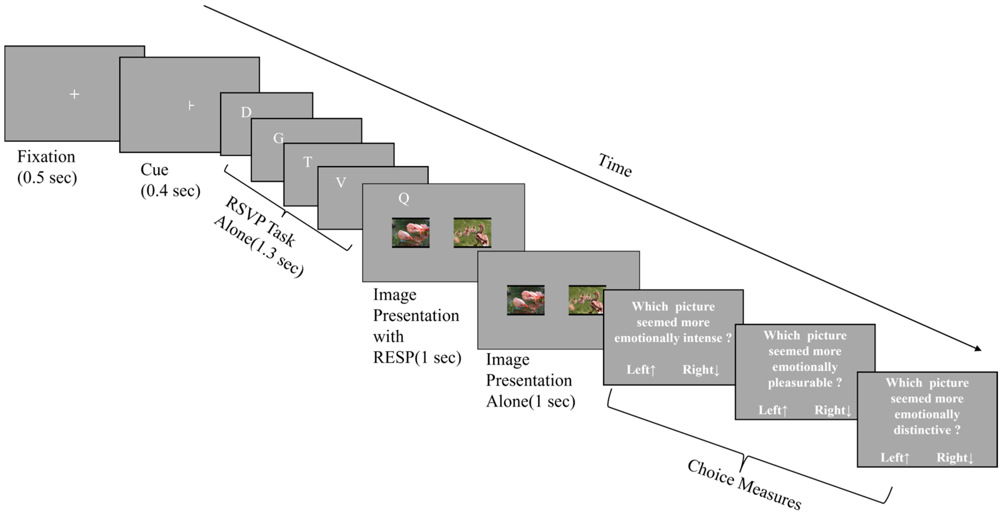 Behavsci 13 00392 g001