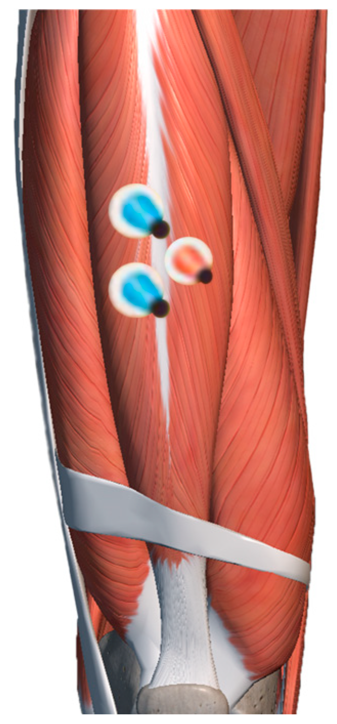 Behavsci 13 00434 g005