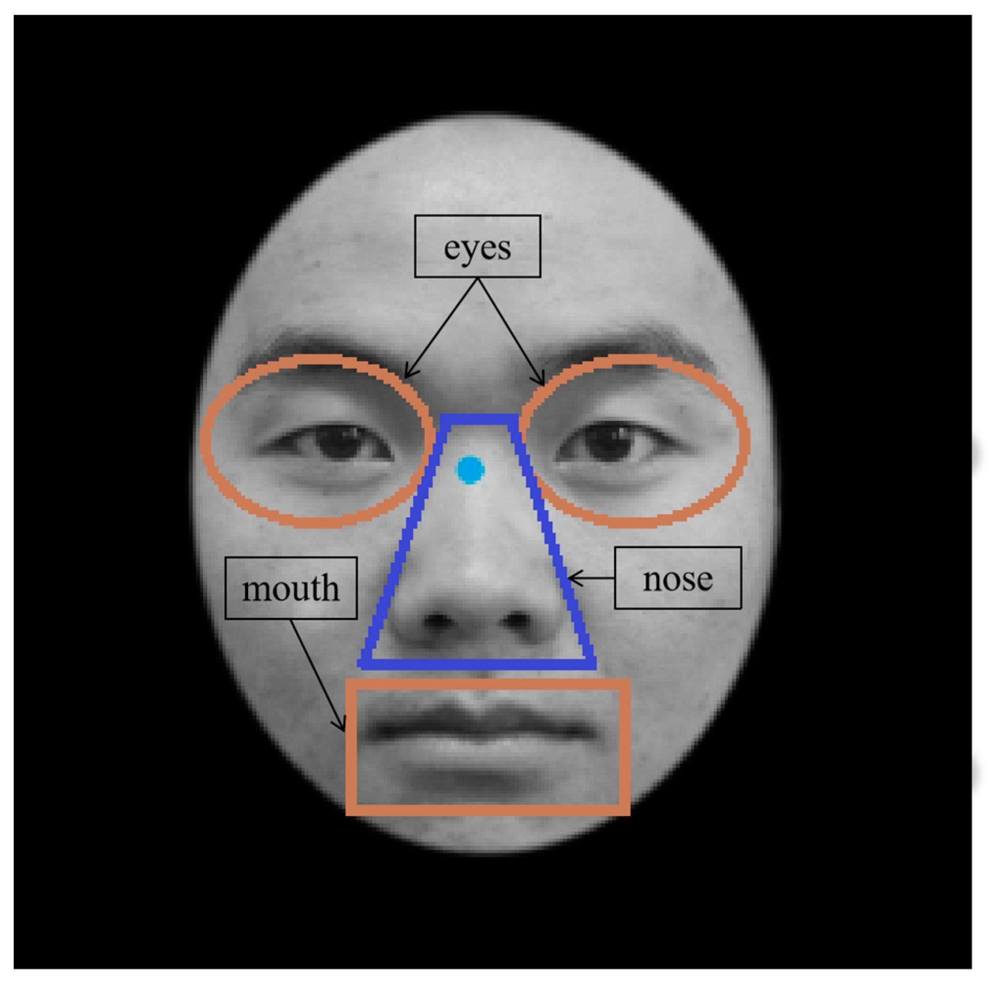 Behavsci 13 00675 g002 Behavsci 13 00675 g002