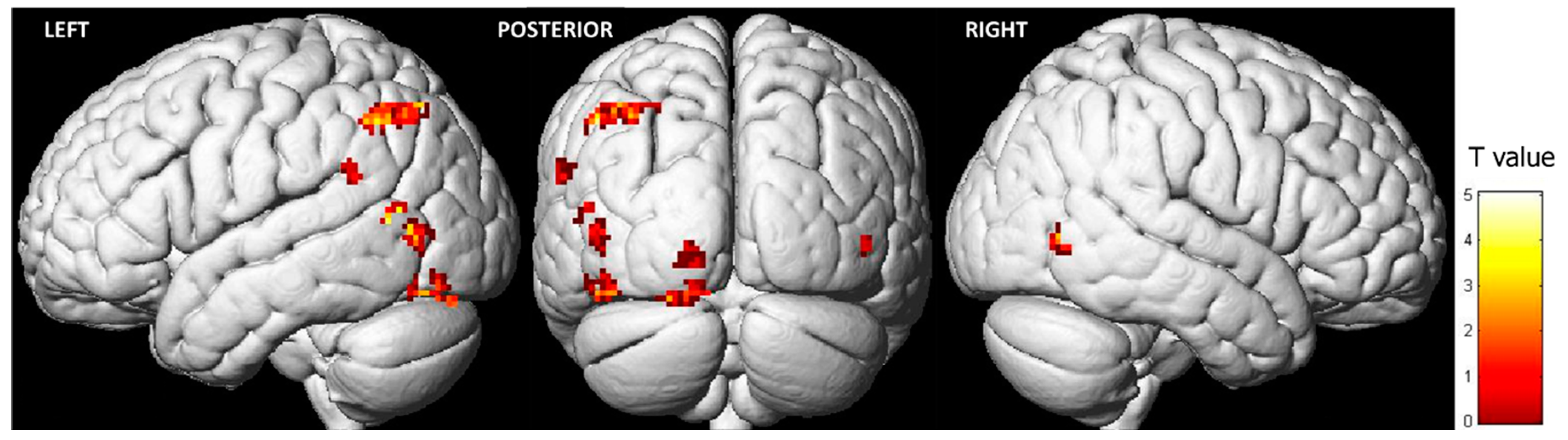 Behavsci 13 00947 g002