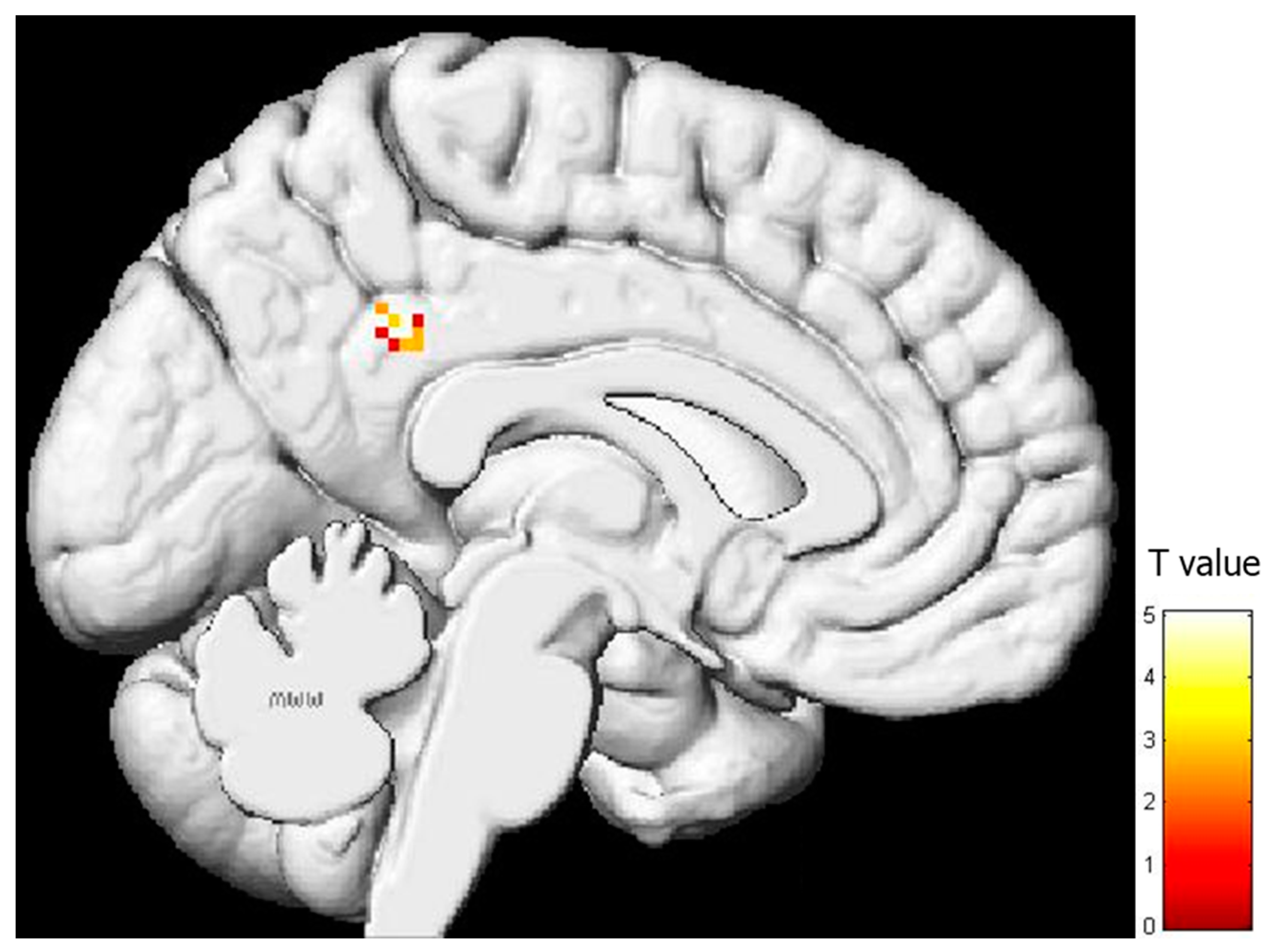 Behavsci 13 00947 g004