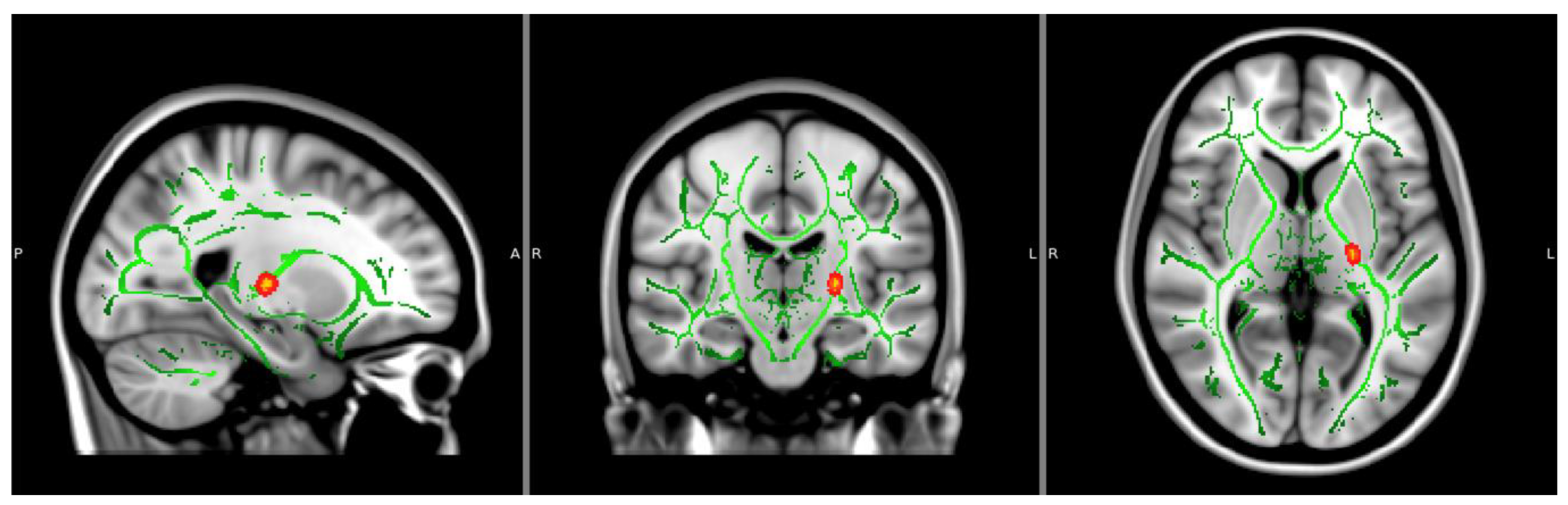 Behavsci 14 00231 g001 Behavsci 14 00231 g001