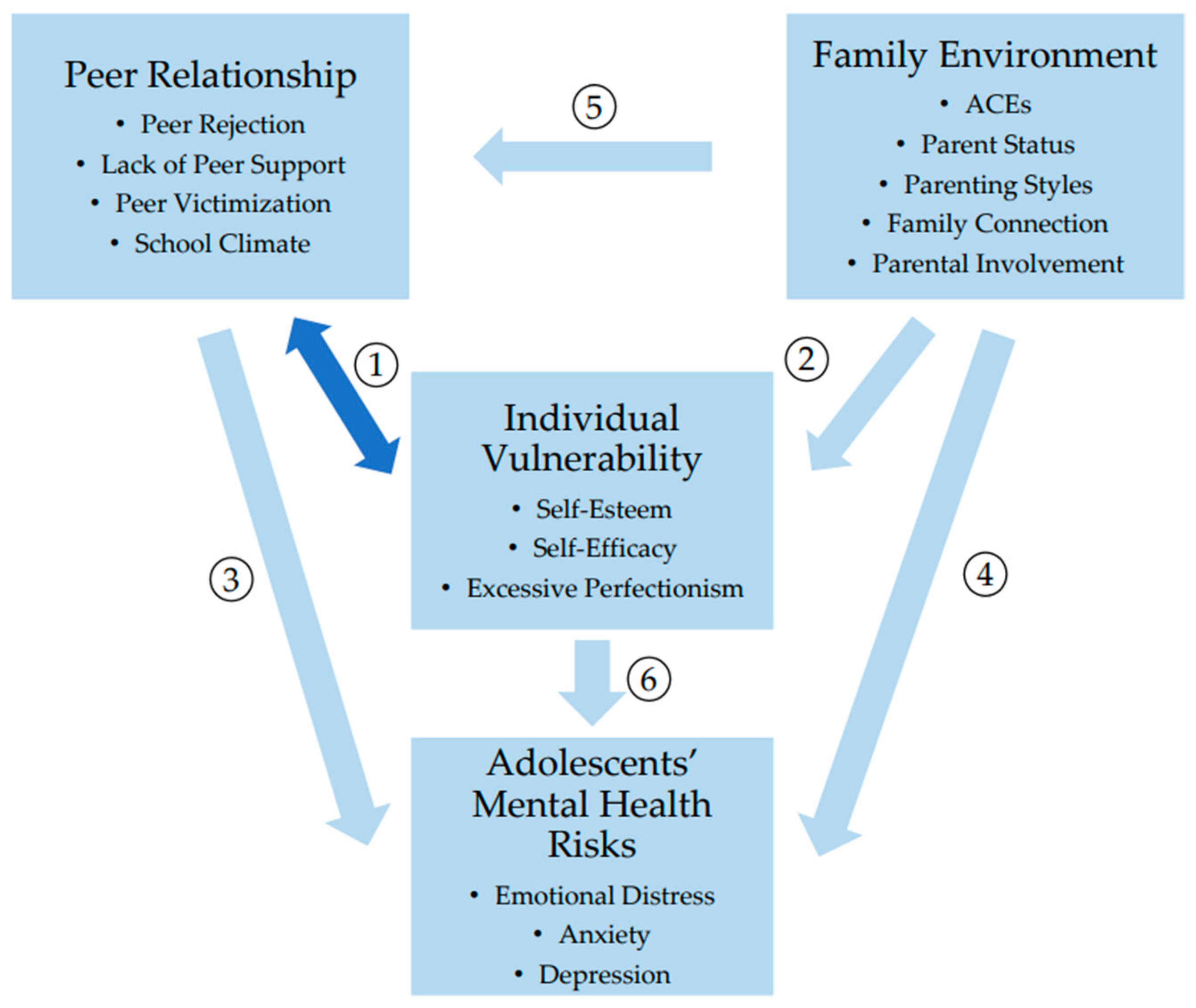 The Research on Risk Factors for Adolescents’ Mental Health