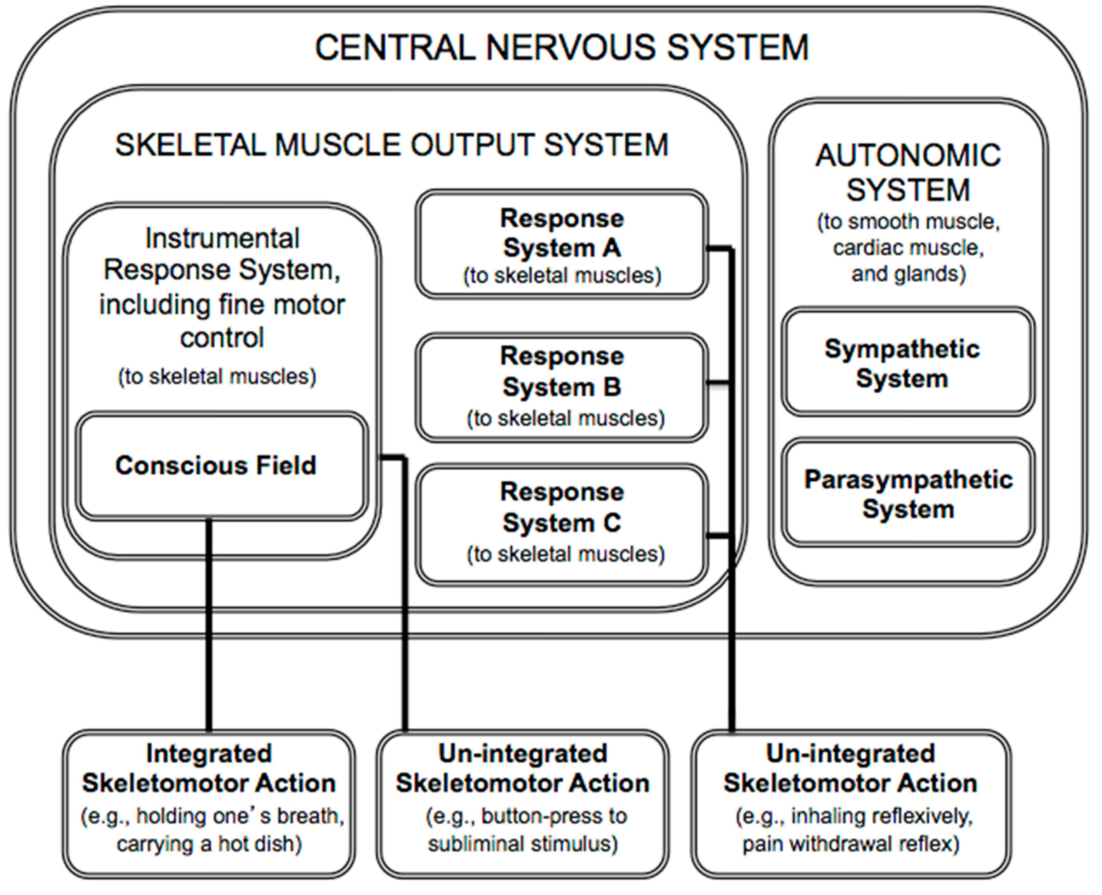 Behavsci 14 00337 g001