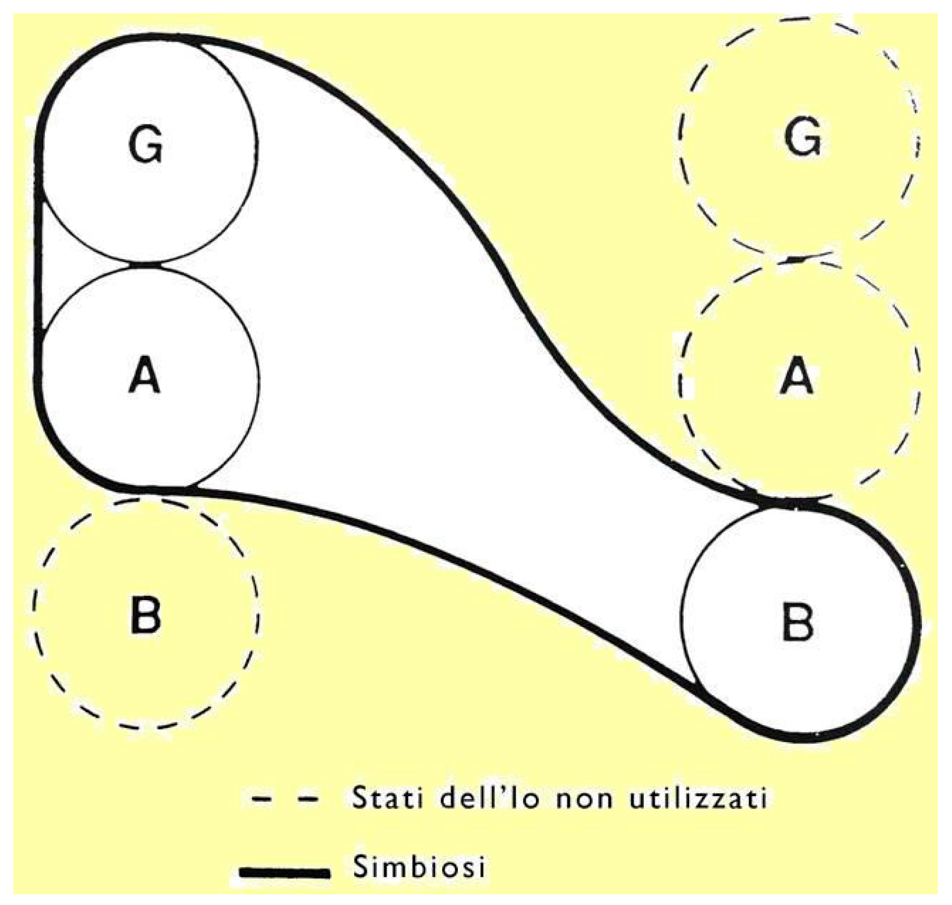 Behavsci 14 00376 g002