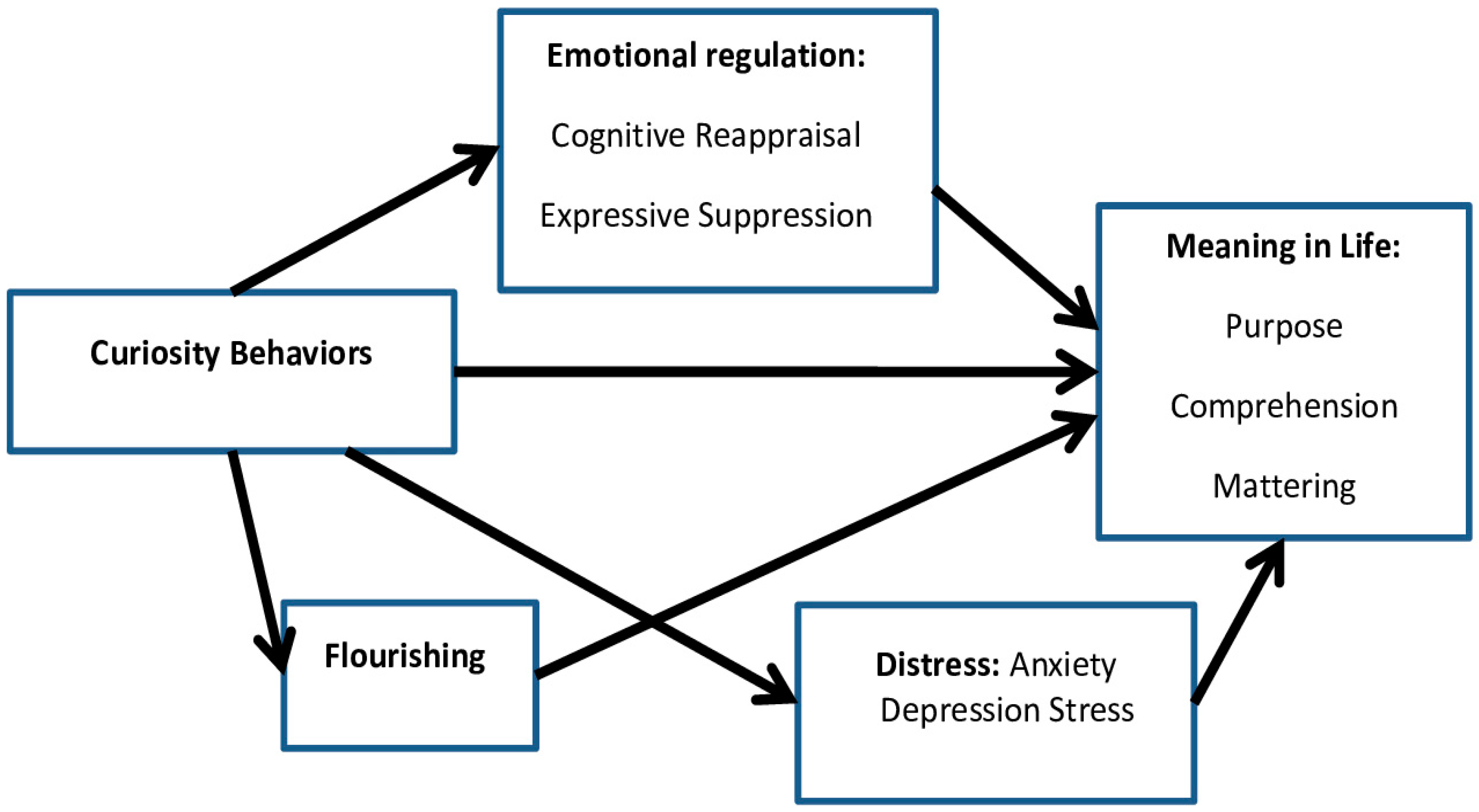Behavsci 14 00391 g001