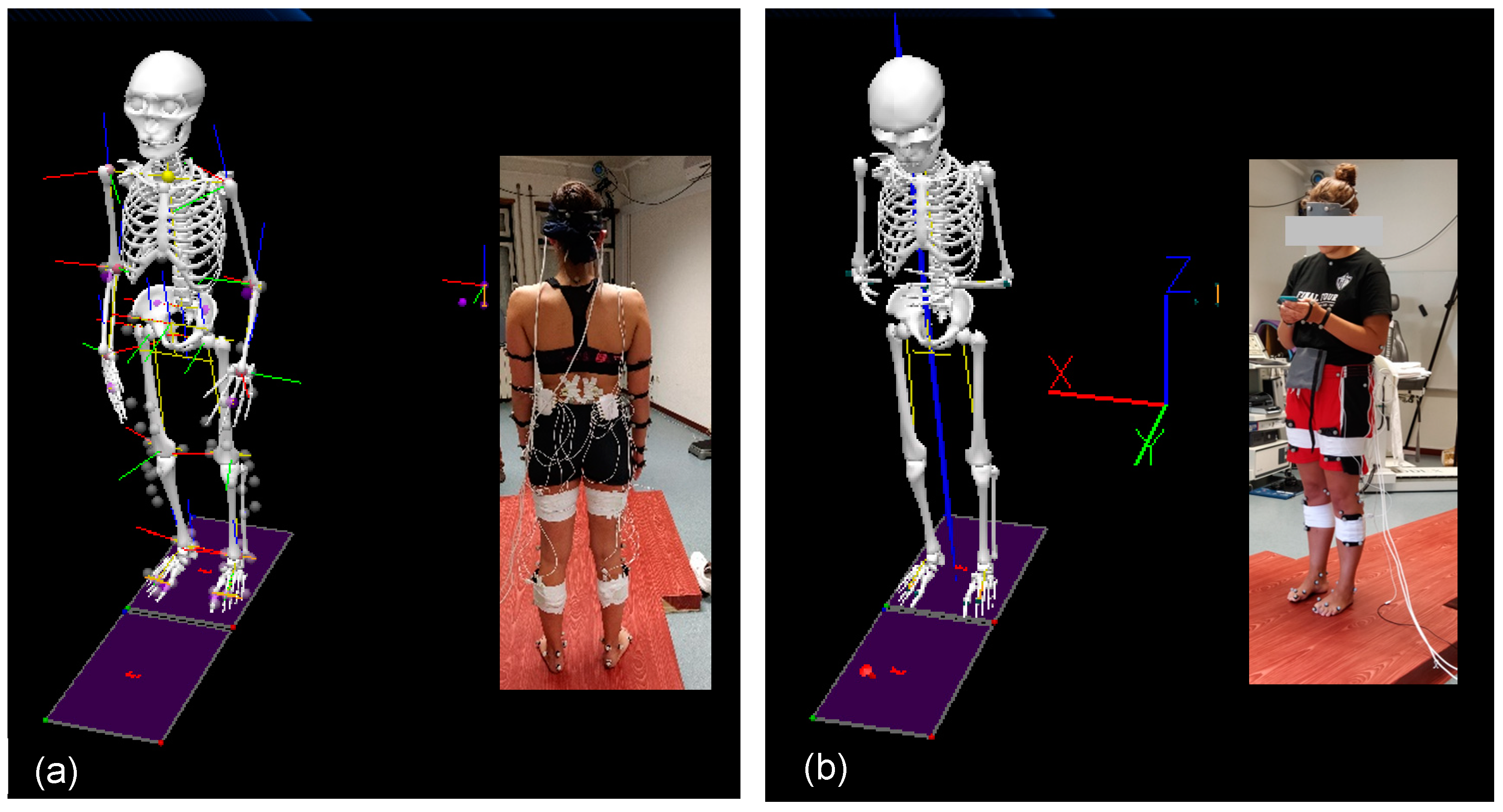 Behavsci 14 00403 g001