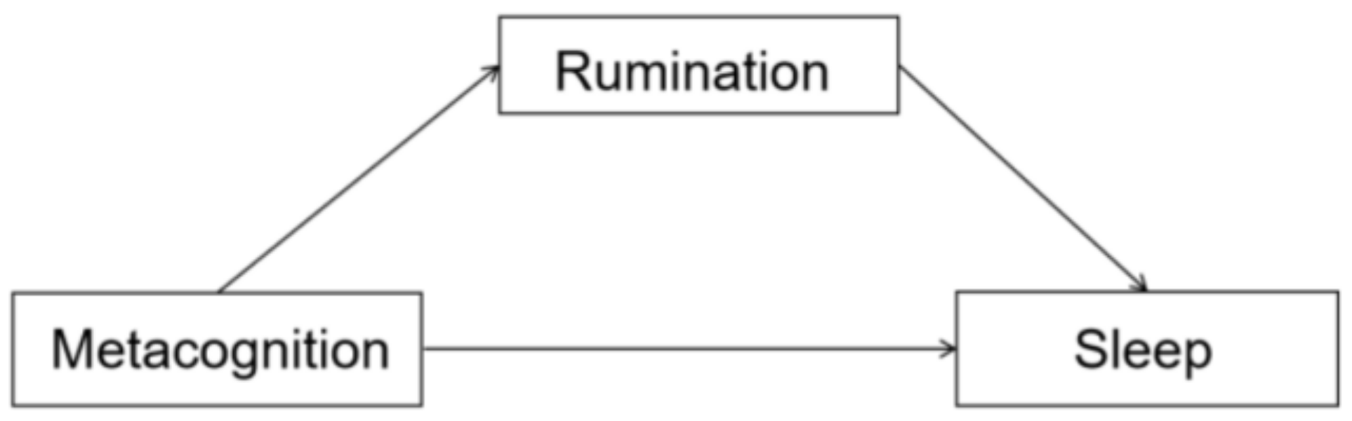 Behavsci 14 00444 g001