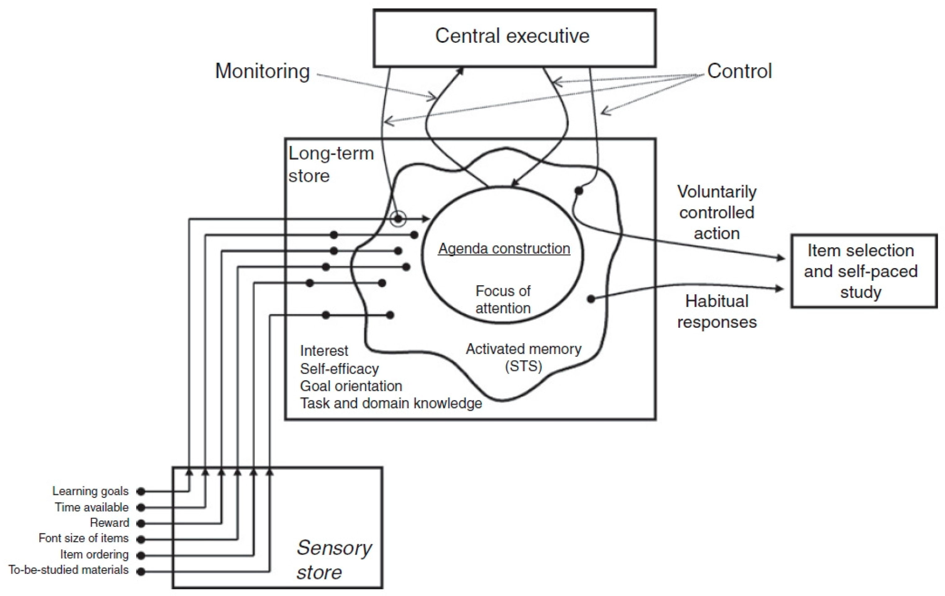 Behavsci 14 00477 g001