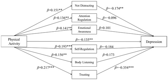 The Mediating Role of Interoceptive Sensitivity in the