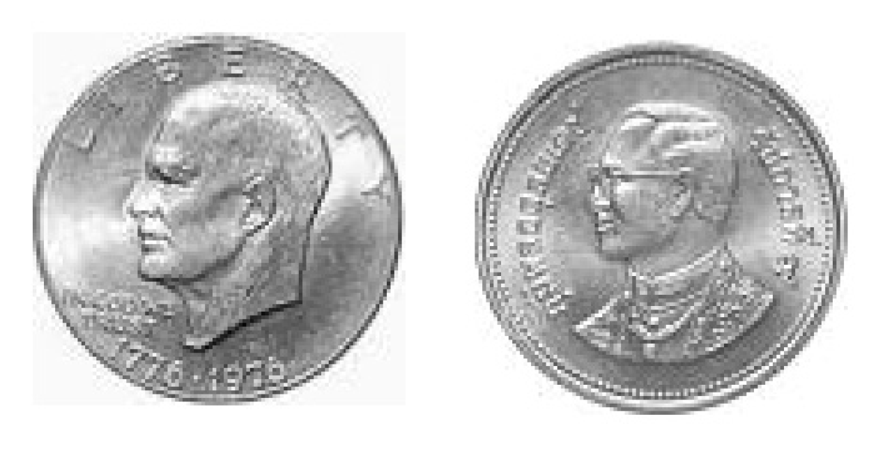 Behavsci 14 00632 g001