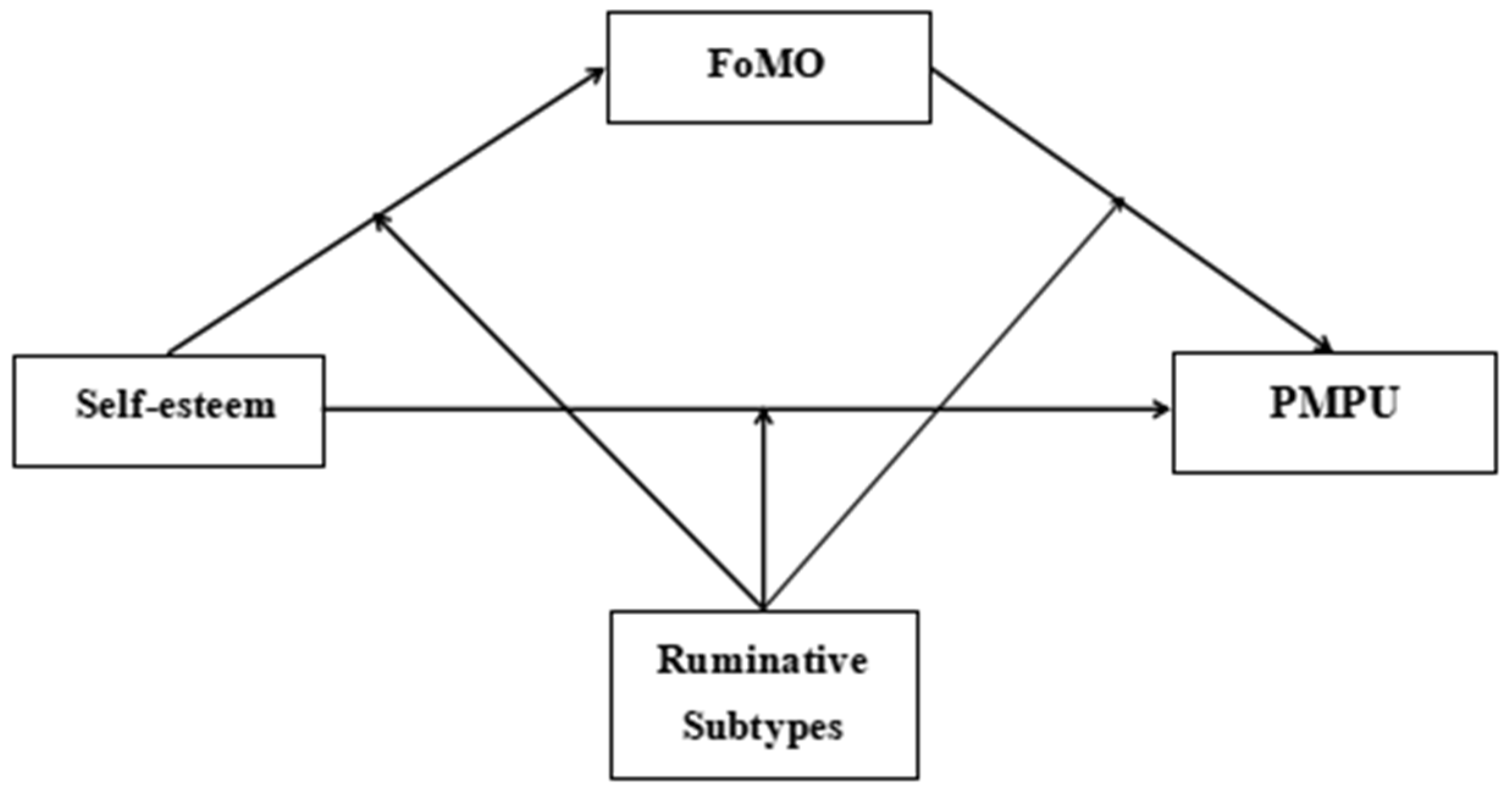 Behavsci 14 00683 g001