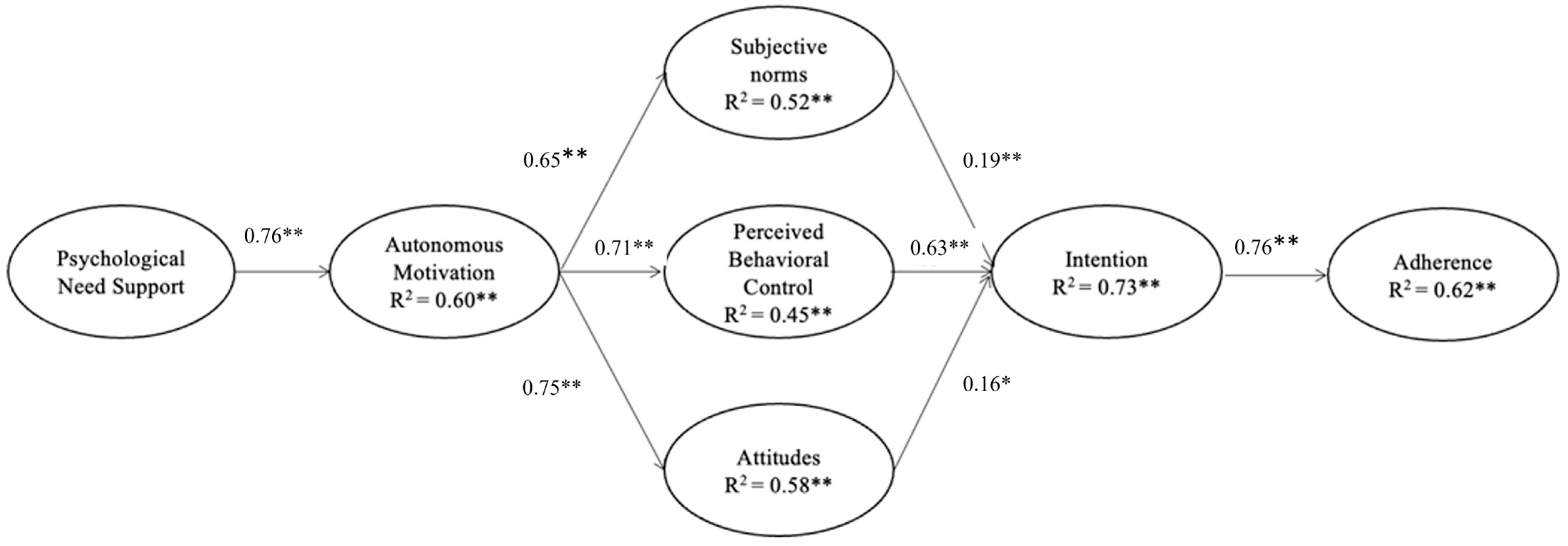 Behavsci 14 00701 g001