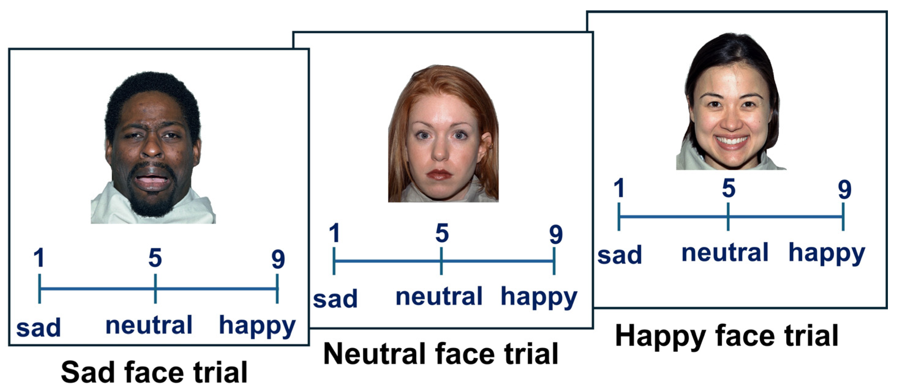 Behavsci 14 00826 g001