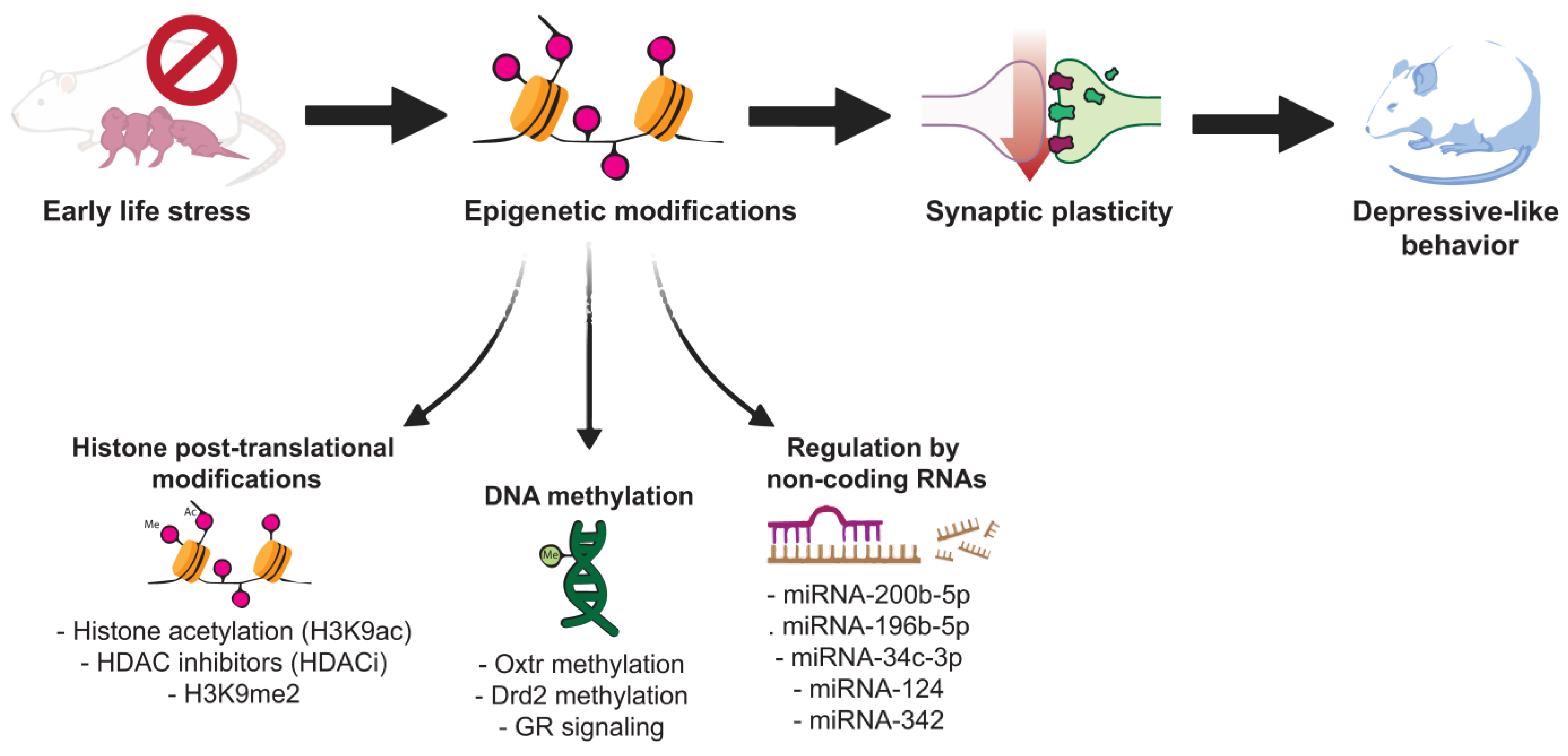 Behavsci 14 00882 g001 Behavsci 14 00882 g001