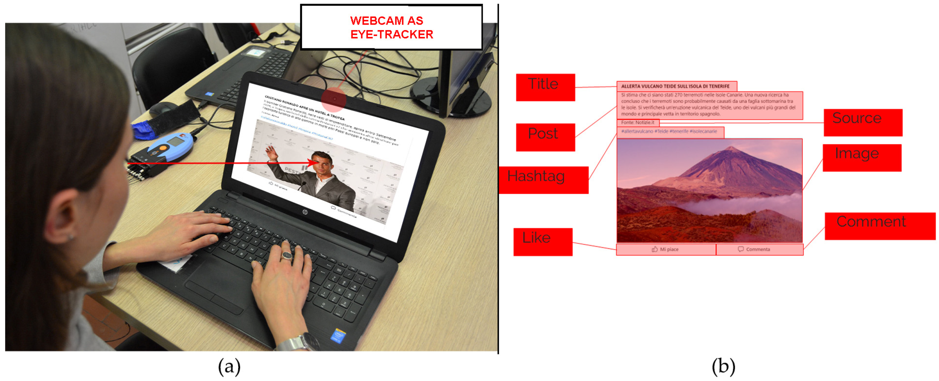 Behavsci 14 01026 g001