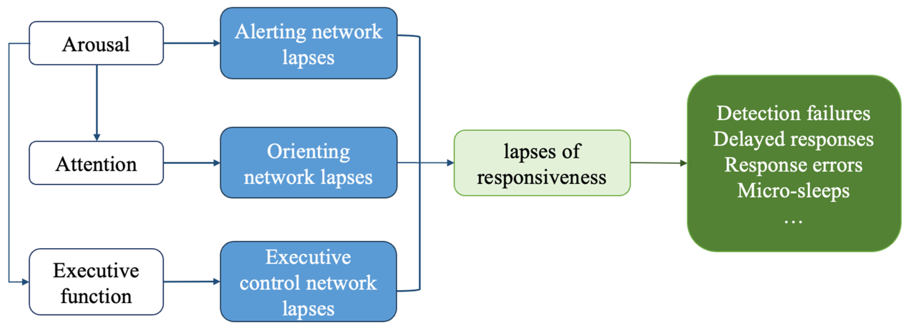 Behavsci 14 01086 g001