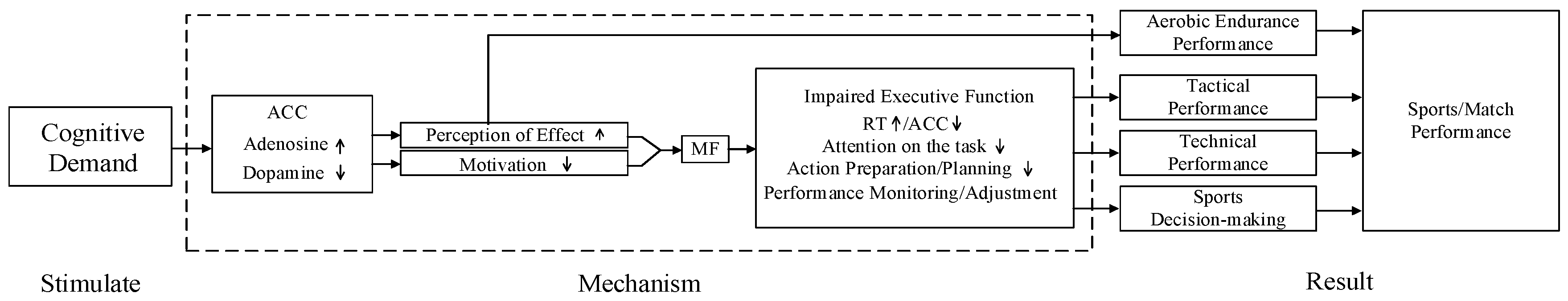Behavsci 14 01125 g001
