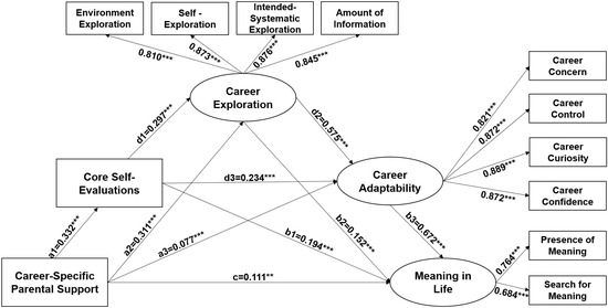 Research on the Effect Mechanism of Career-Specific Parental Support ...